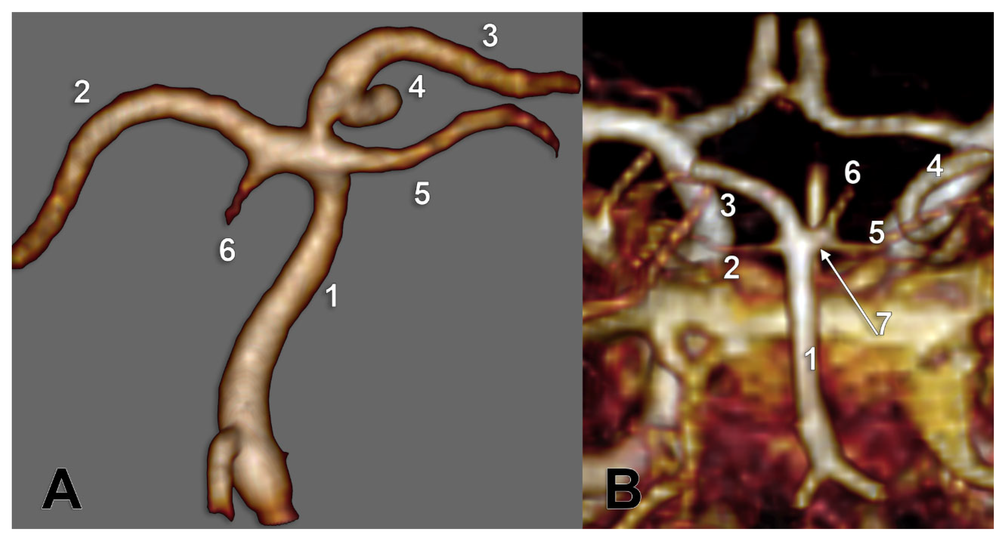 Medicina 59 02164 g010