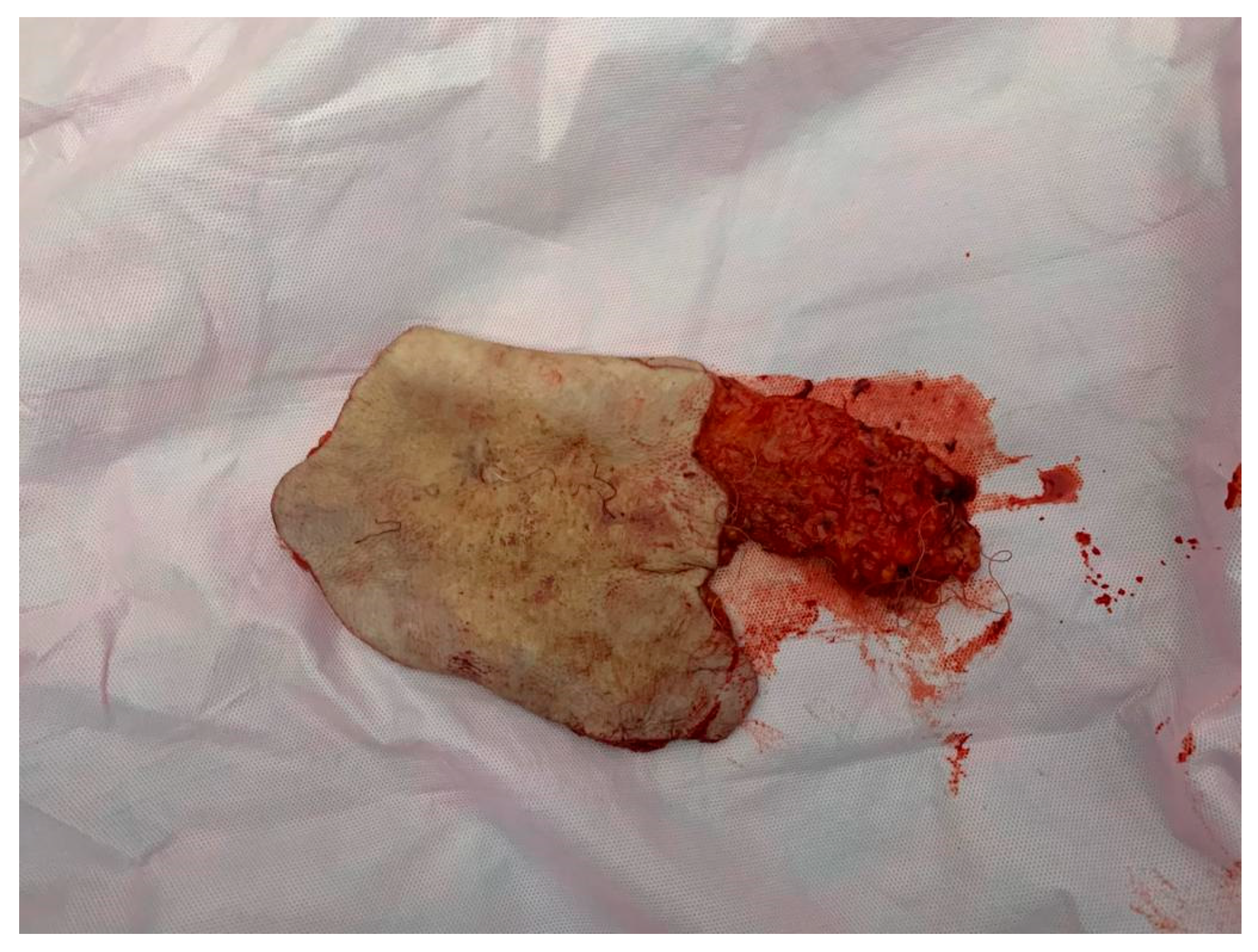 Medicina 59 02167 g007