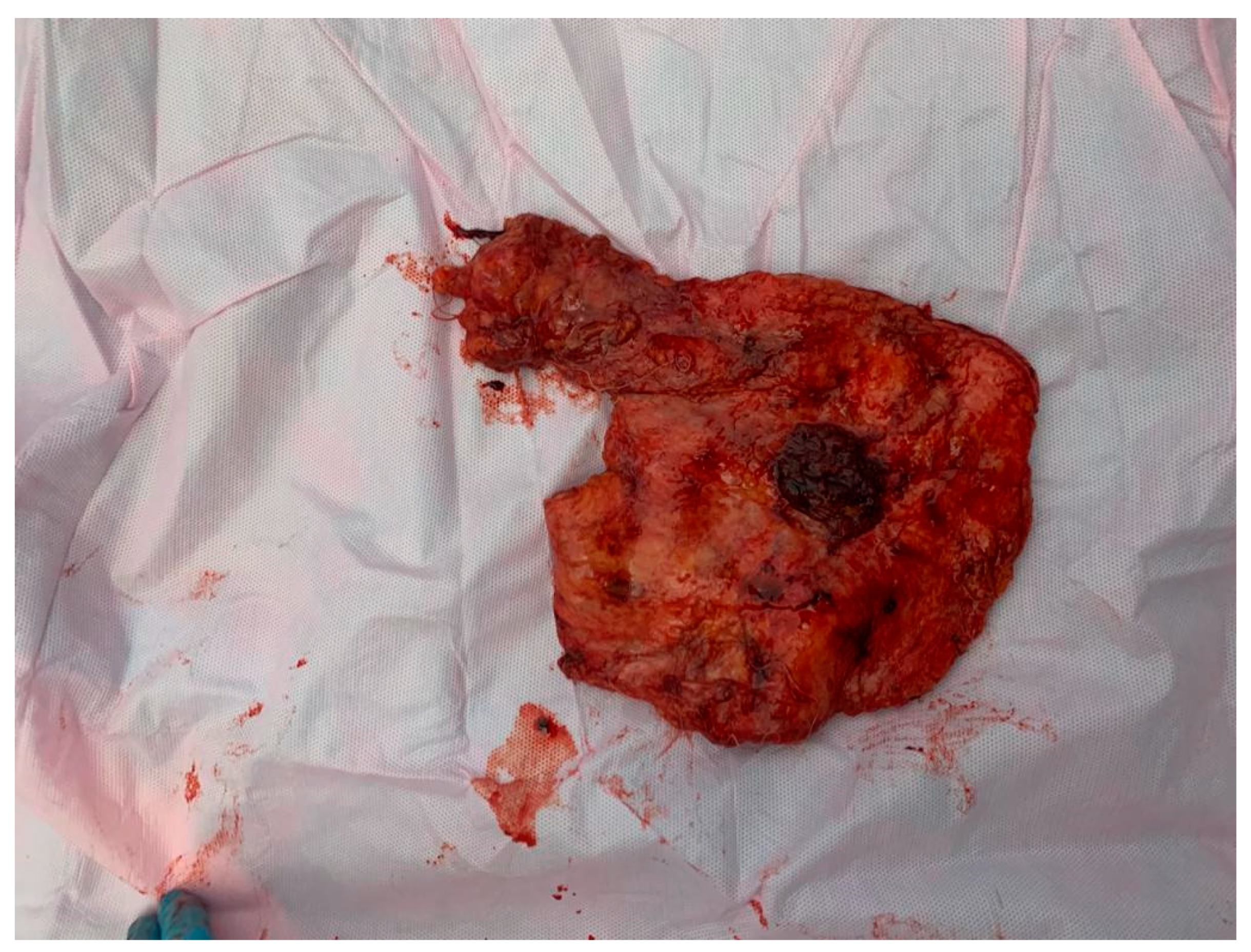 Medicina 59 02167 g008