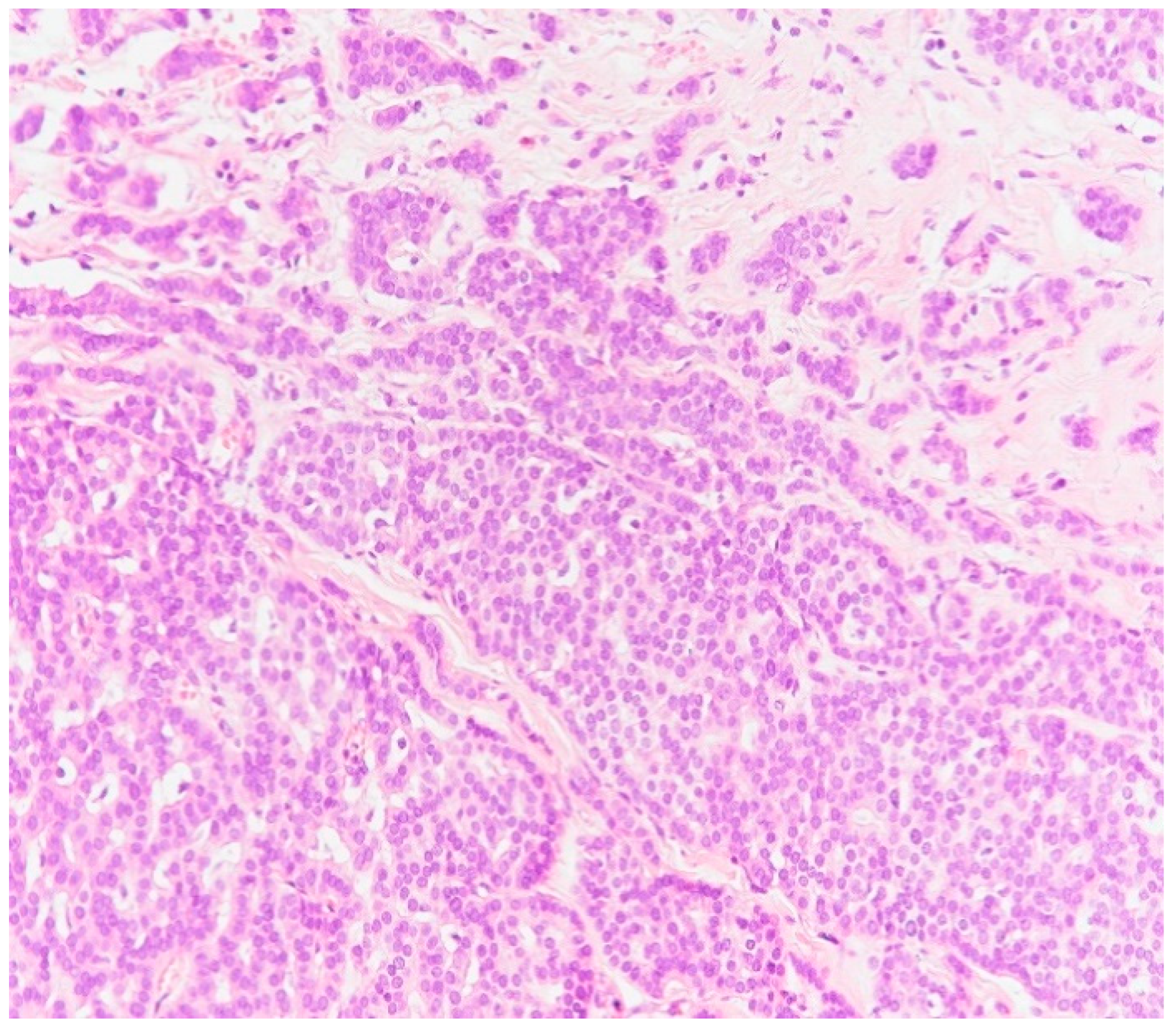 Medicina 59 02167 g009