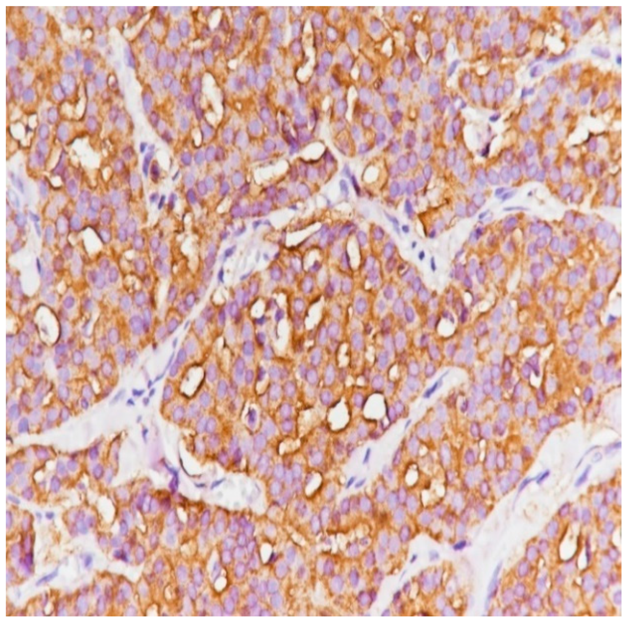 Medicina 59 02167 g010