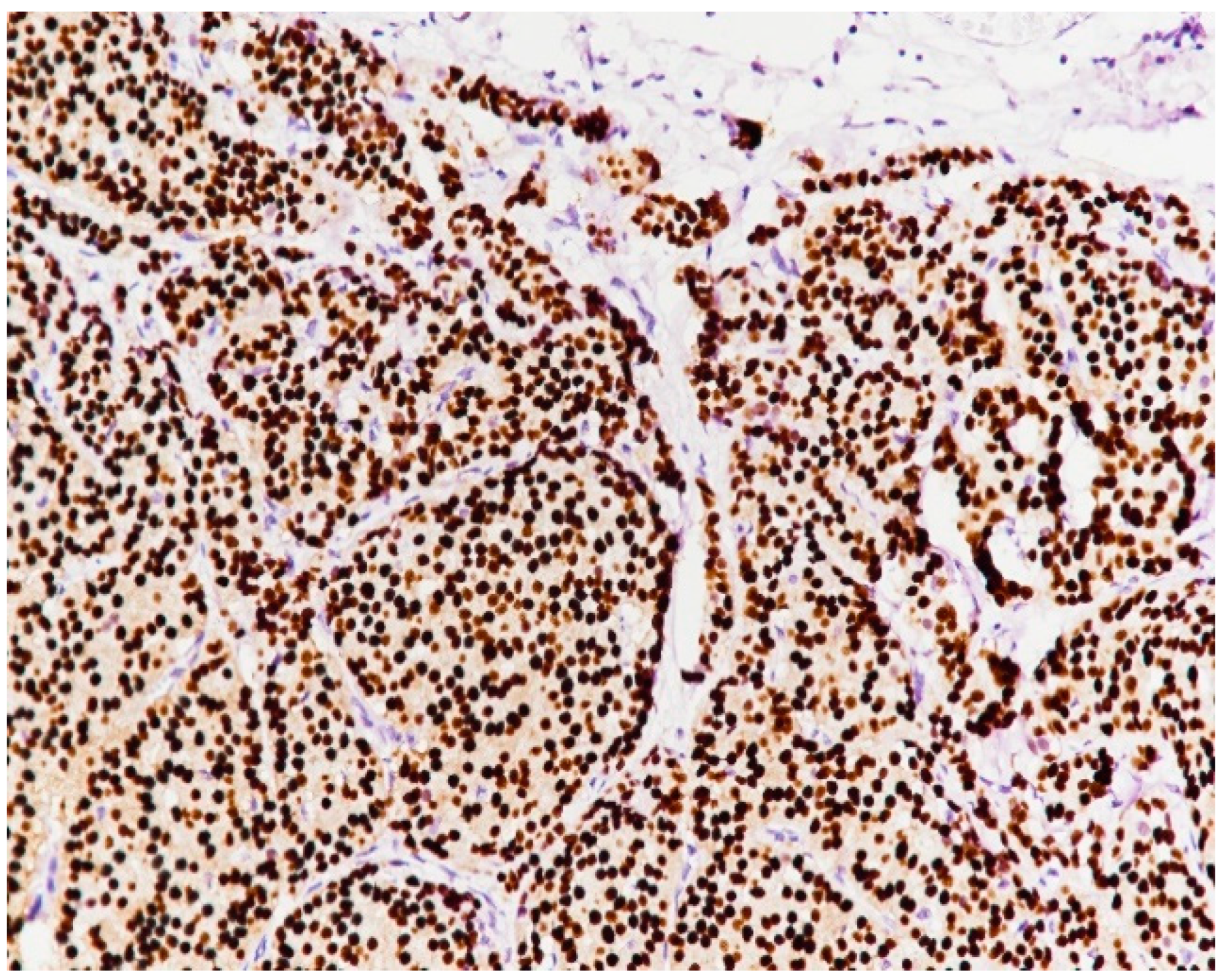 Medicina 59 02167 g012