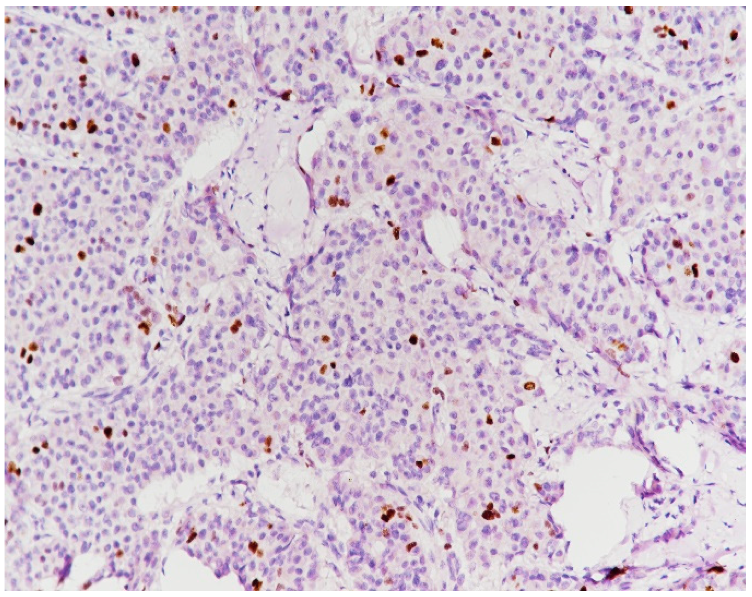 Medicina 59 02167 g014