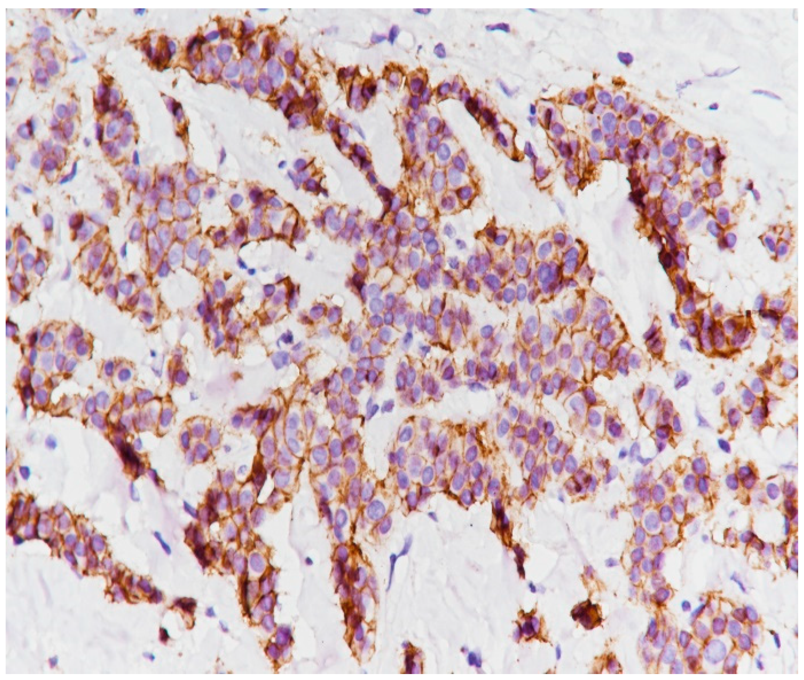 Medicina 59 02167 g015