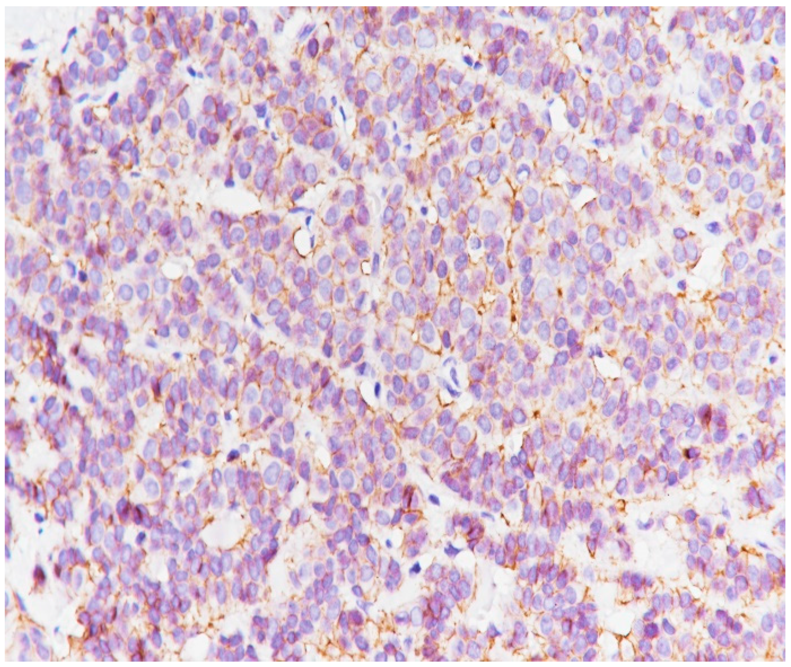 Medicina 59 02167 g016