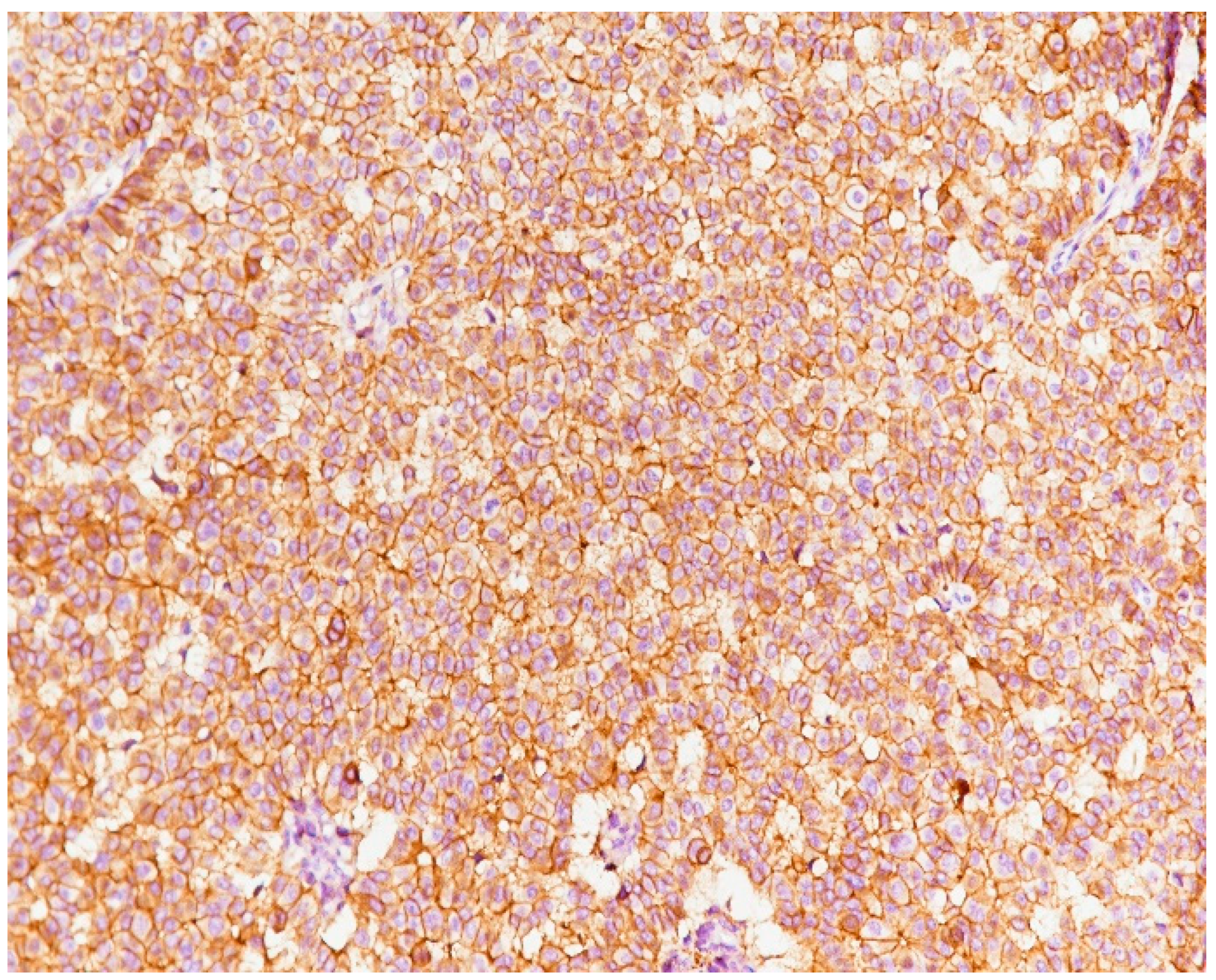 Medicina 59 02167 g017