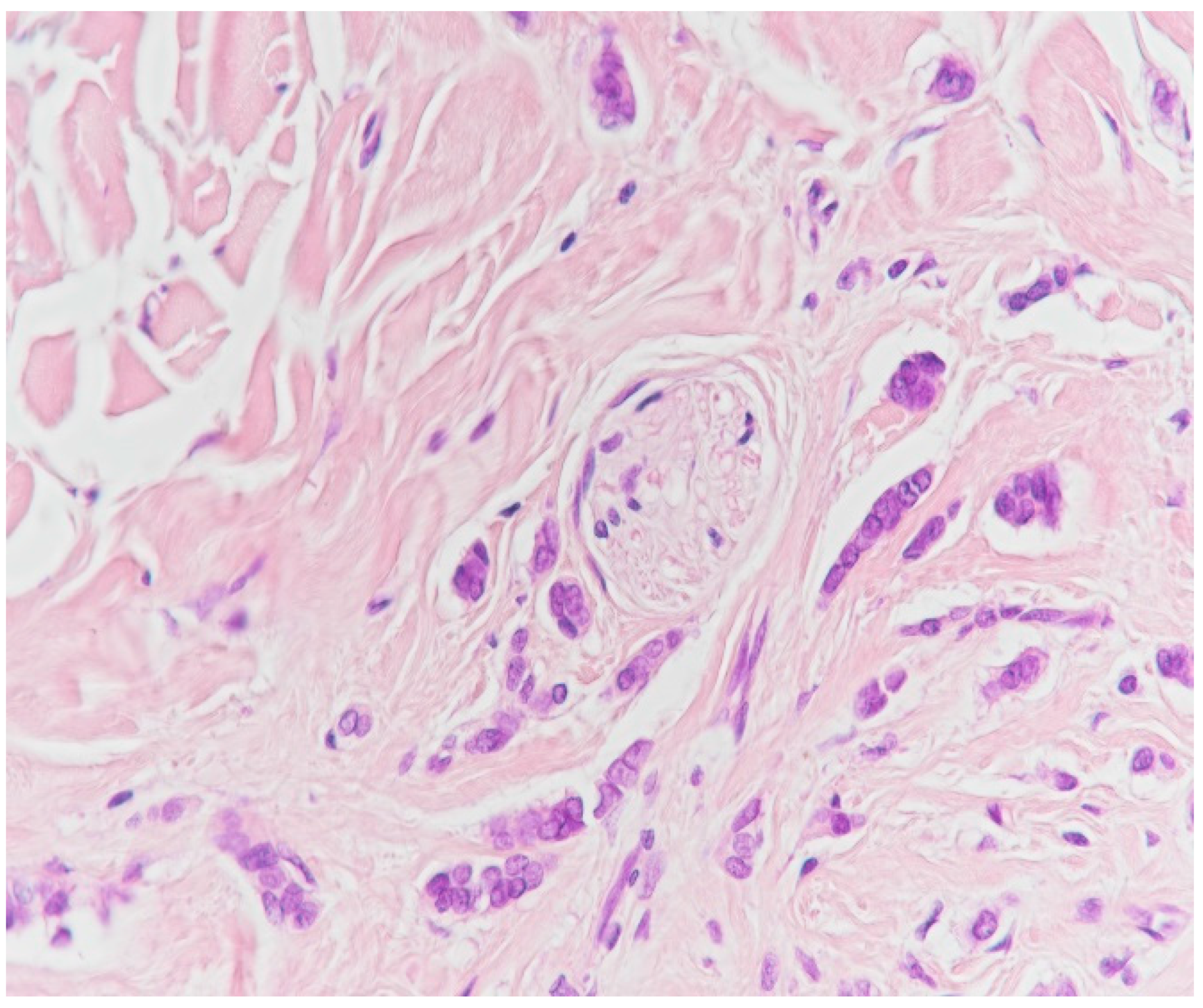 Medicina 59 02167 g018