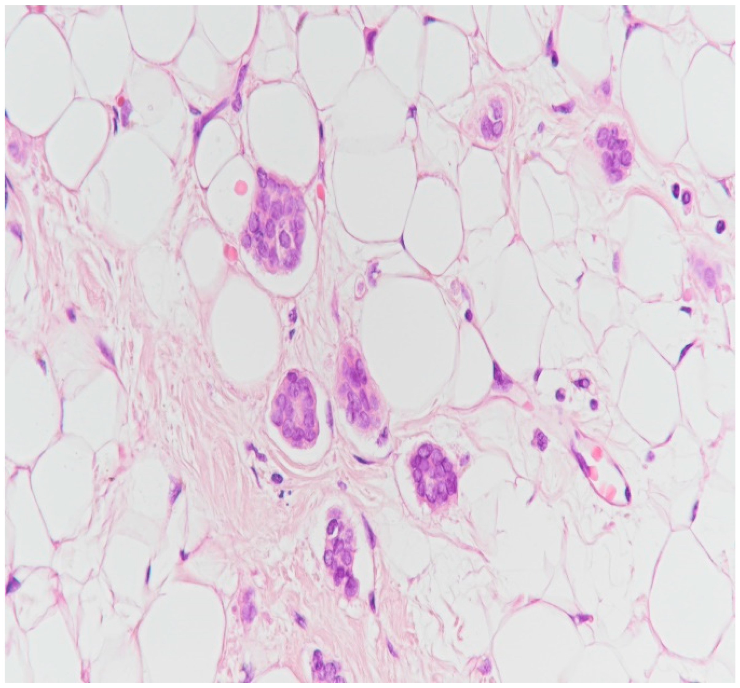 Medicina 59 02167 g019