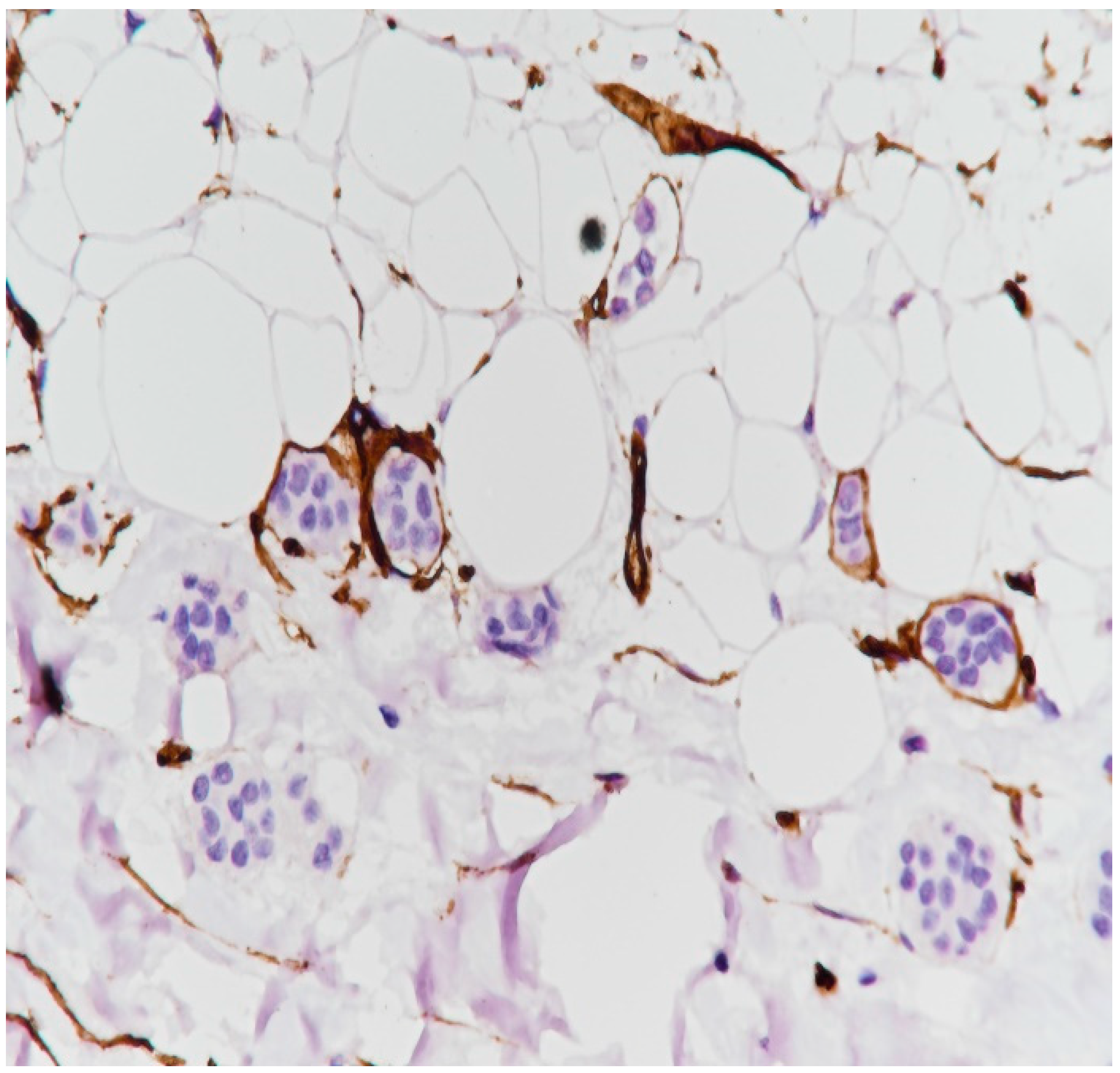 Medicina 59 02167 g020