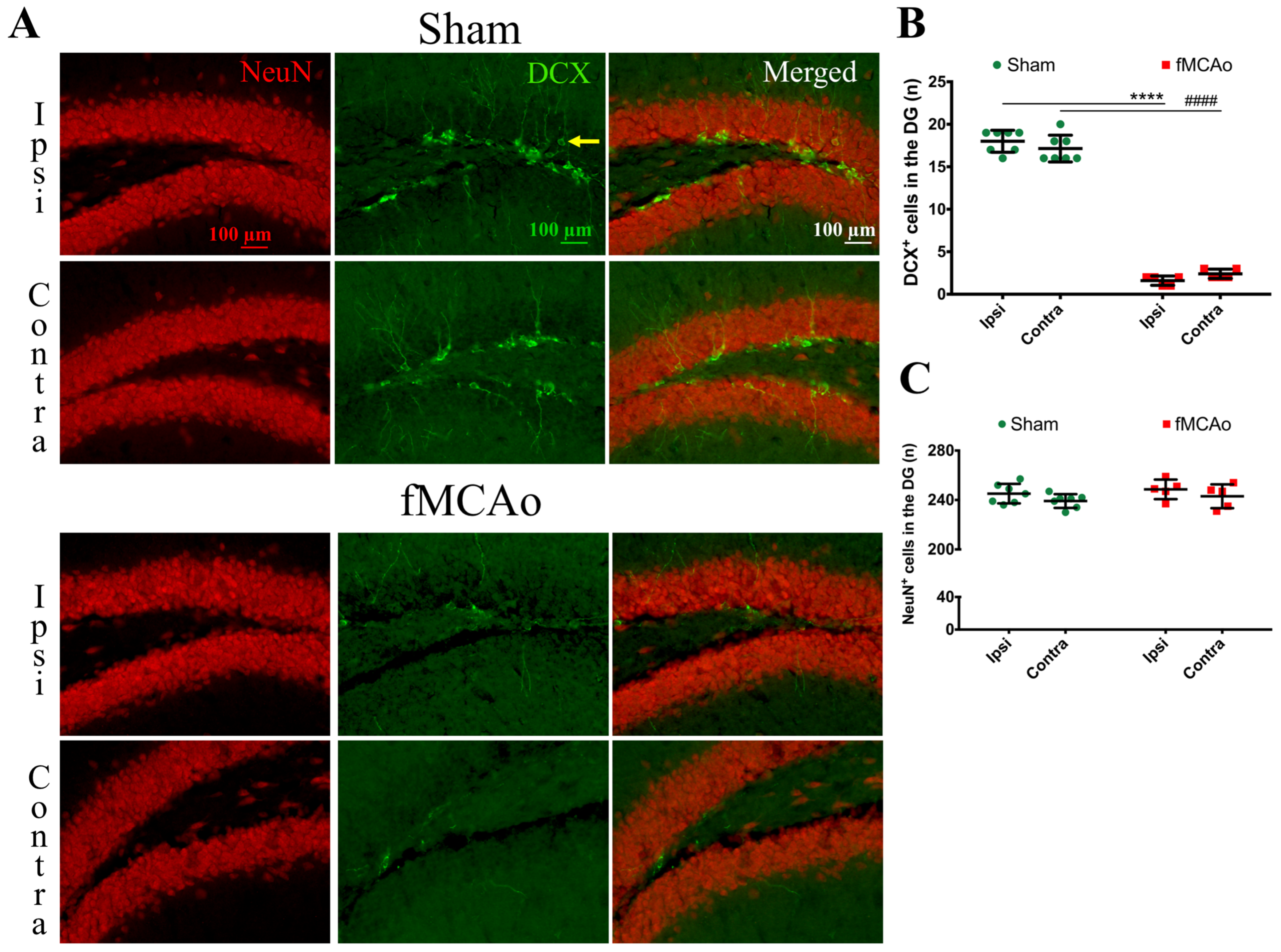 Medicina 59 02168 g004