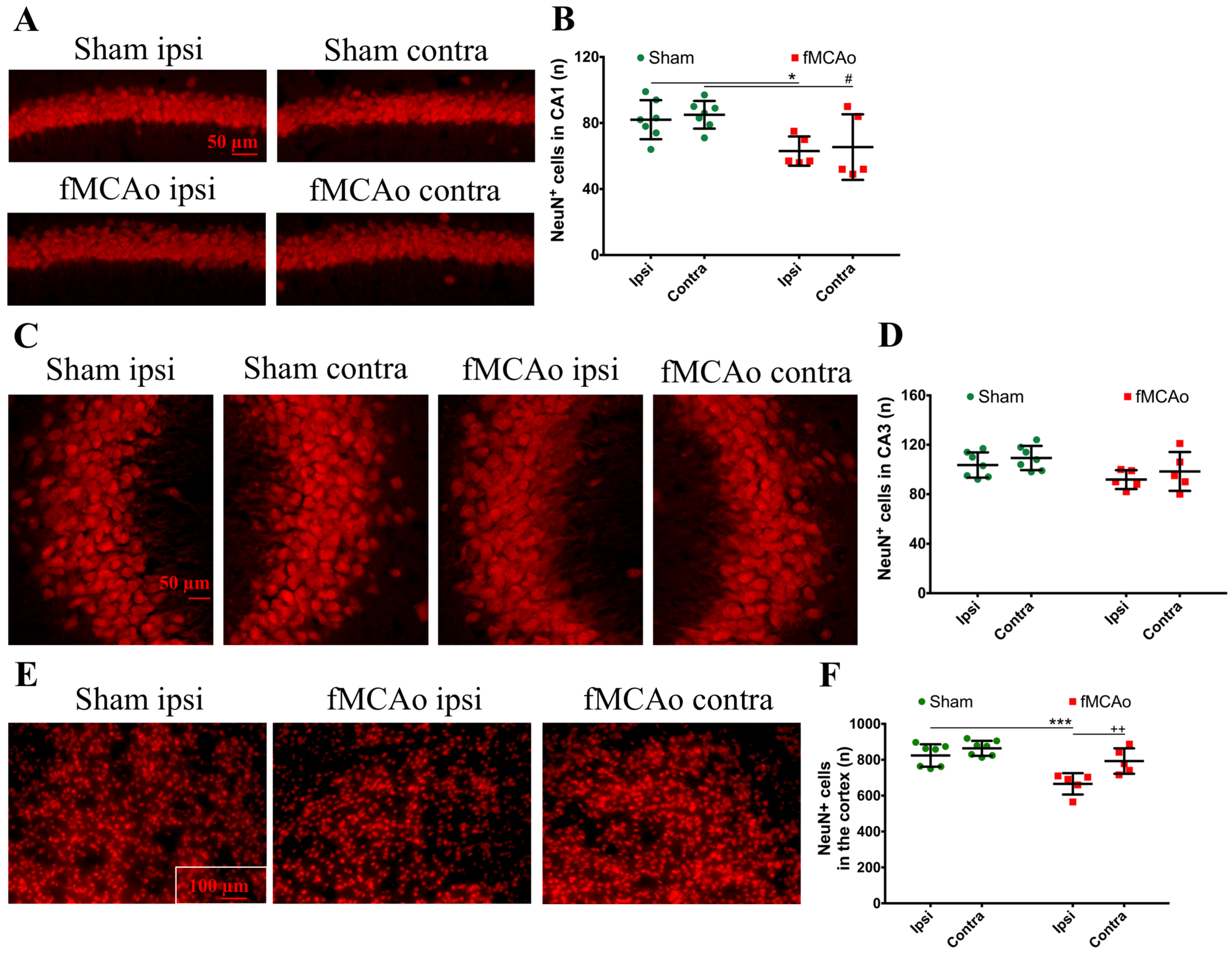 Medicina 59 02168 g005