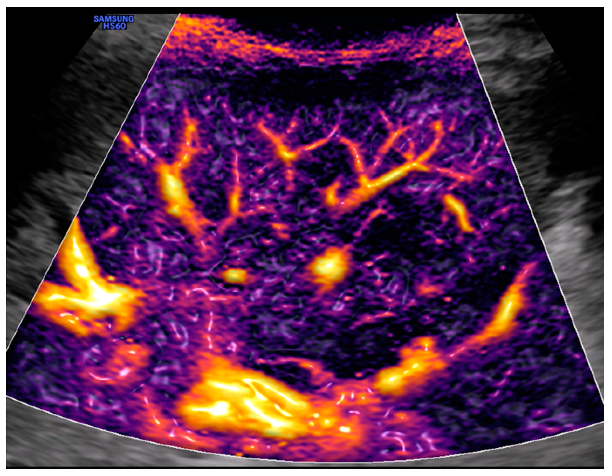 Medicina 59 02179 g001