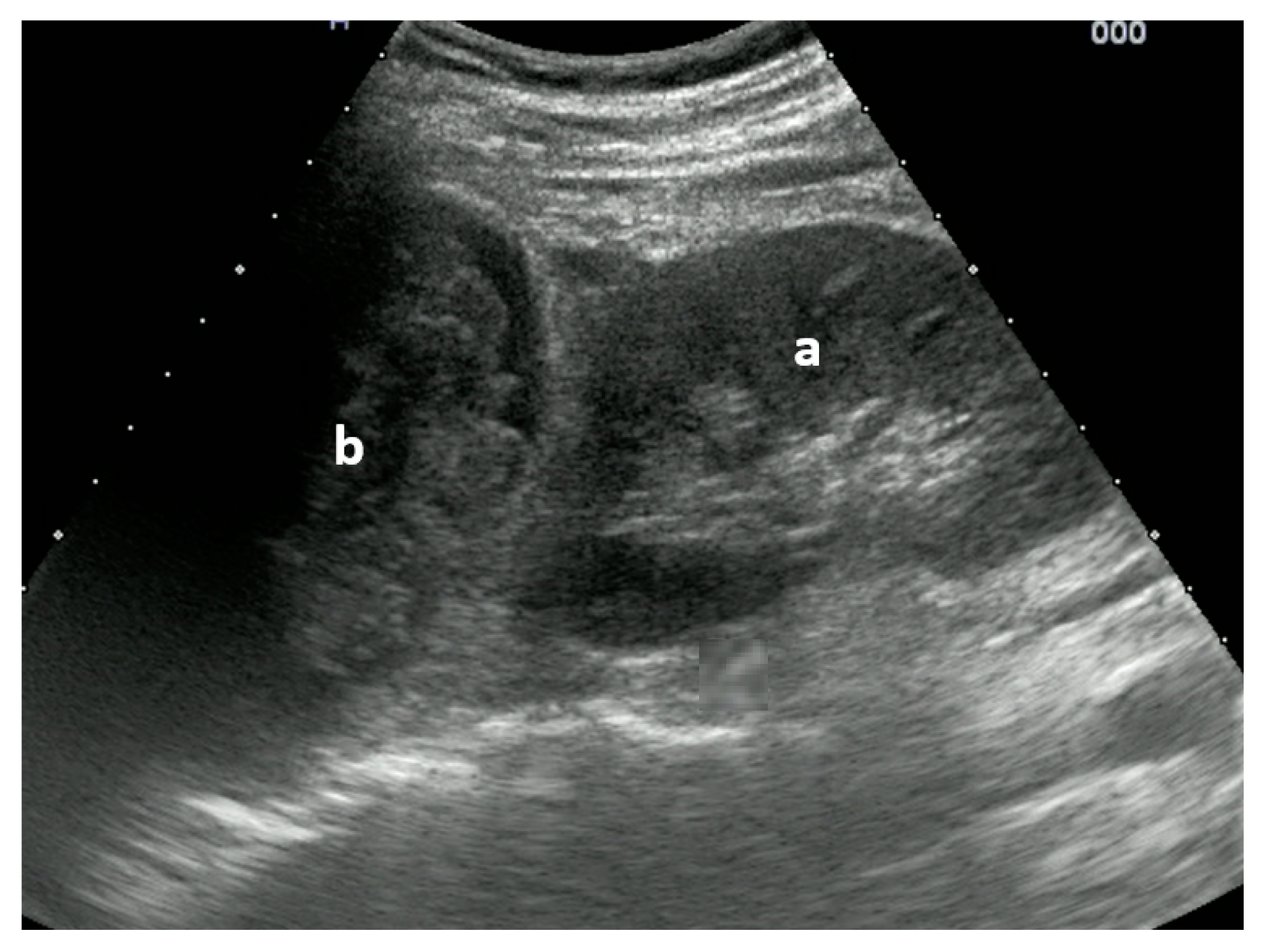 Medicina 59 02179 g003