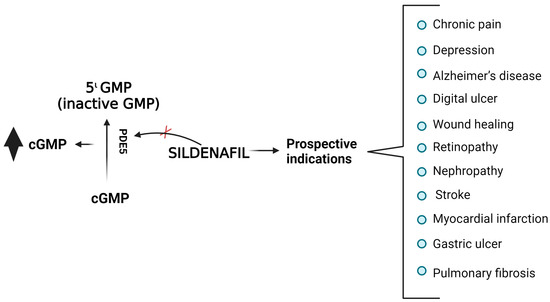 Sildenafil vs Viagra: which to choose? - Dr Fox