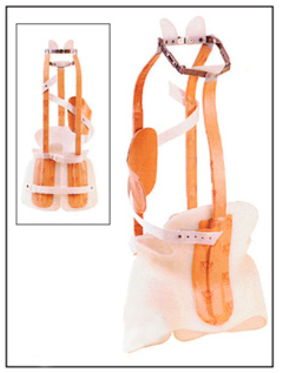 Medicina 60 00003 g002