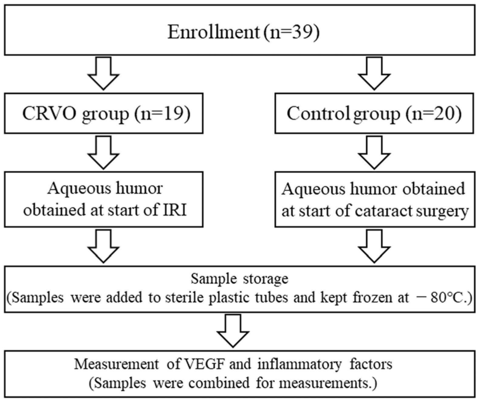 Medicina 60 00004 g001