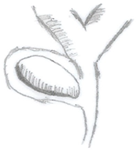 Medicina 60 00012 i001