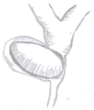 Medicina 60 00012 i004