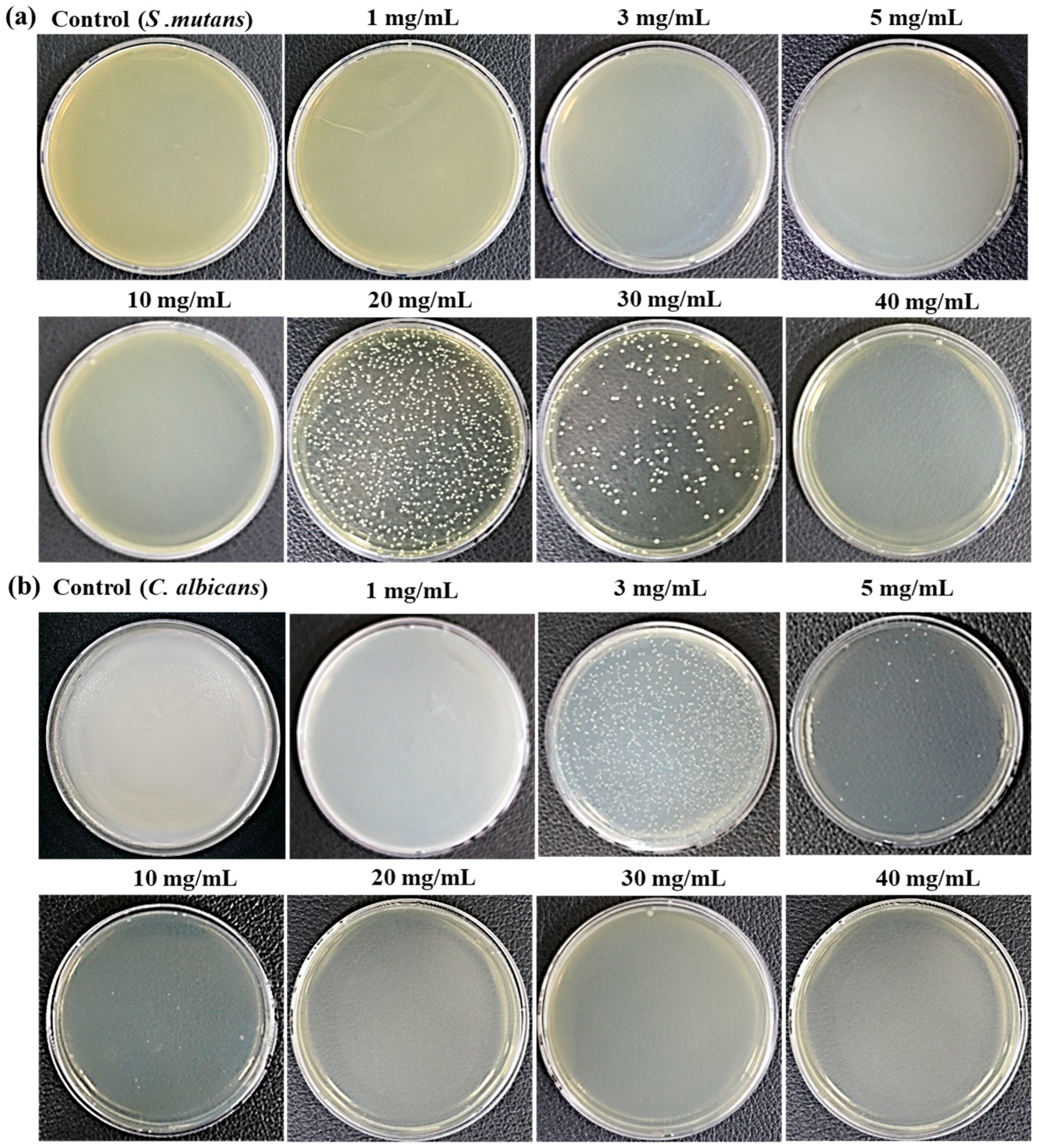 Medicina 60 00013 g002 Medicina 60 00013 g002