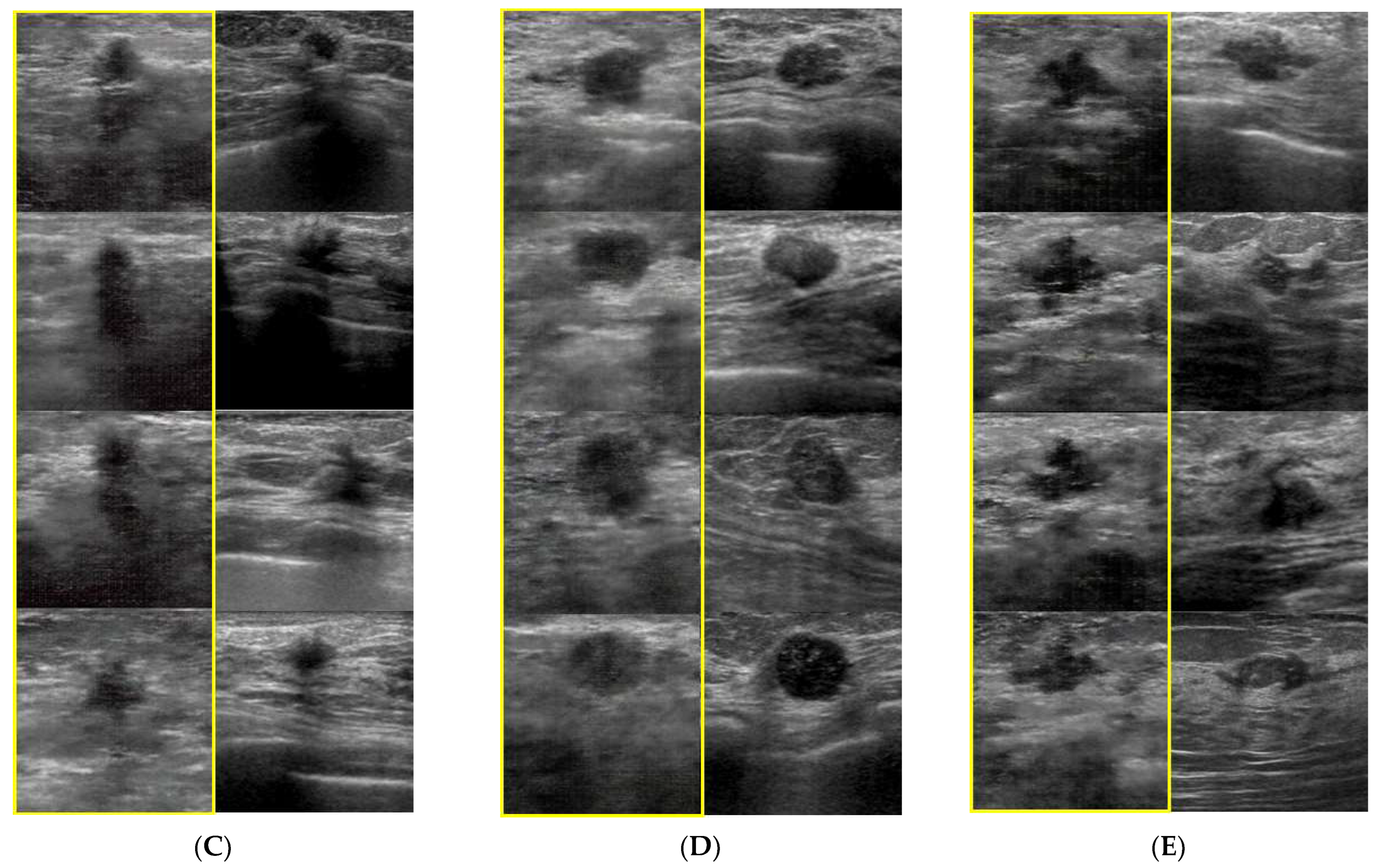 Medicina 60 00014 g001b