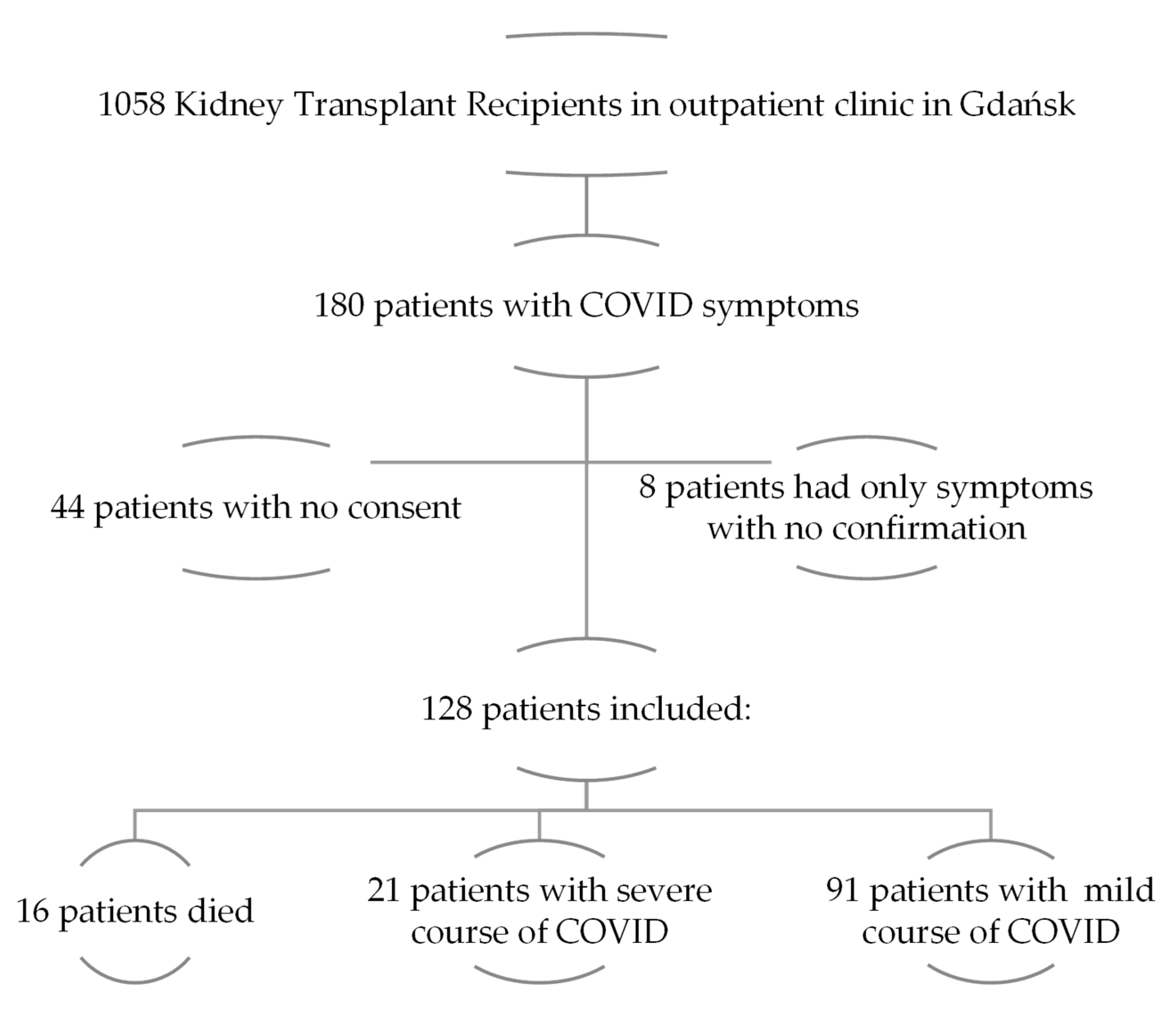Medicina 60 00026 g001