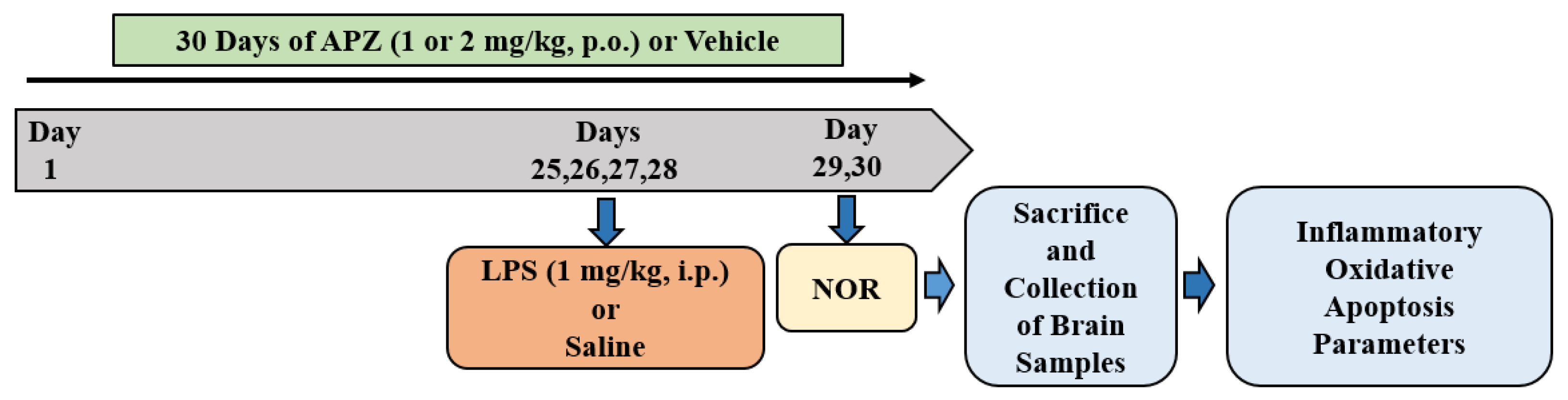 Medicina 60 00046 g001