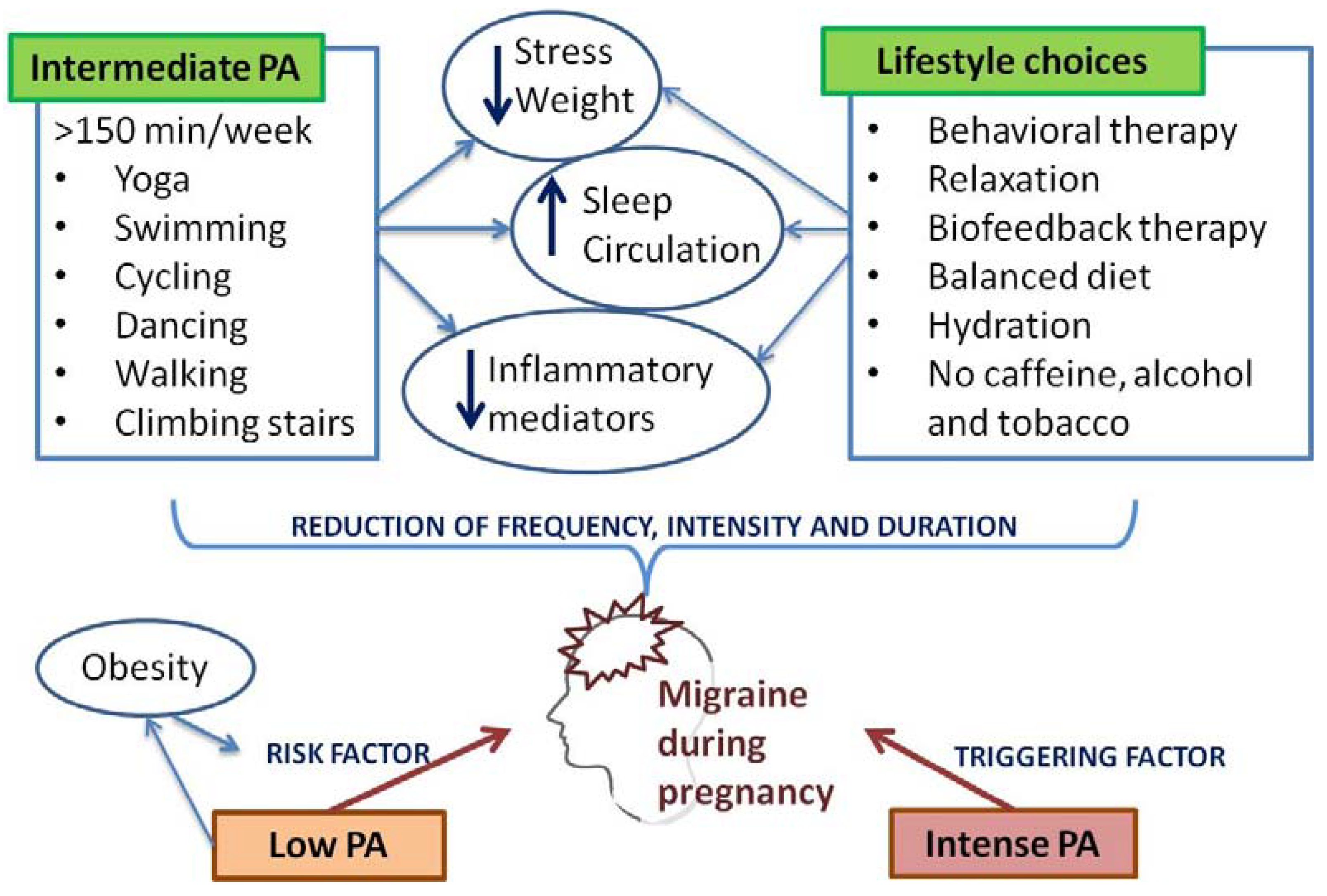 Medicina 60 00049 g004 Medicina 60 00049 g004