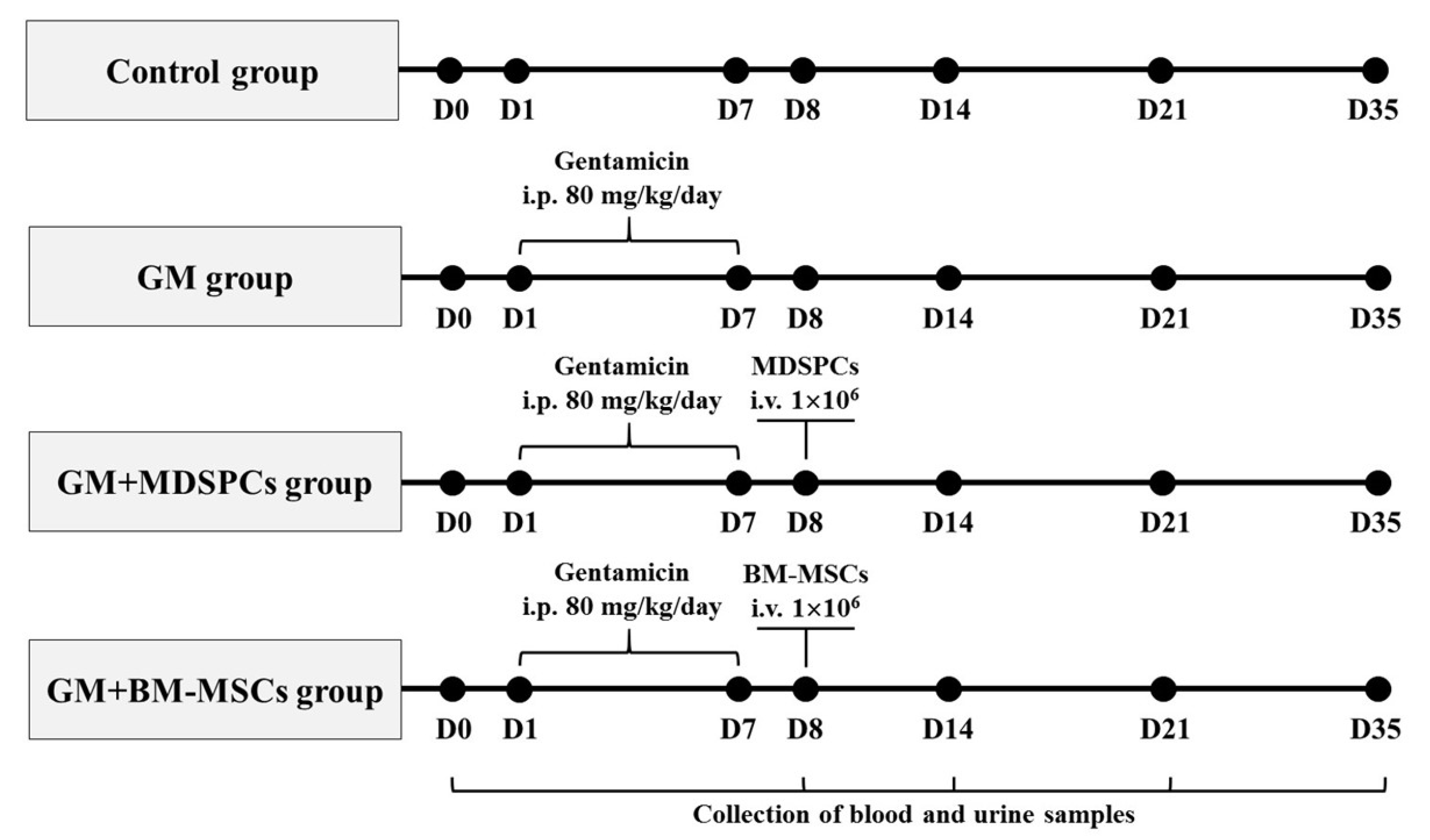 Medicina 60 00063 g001