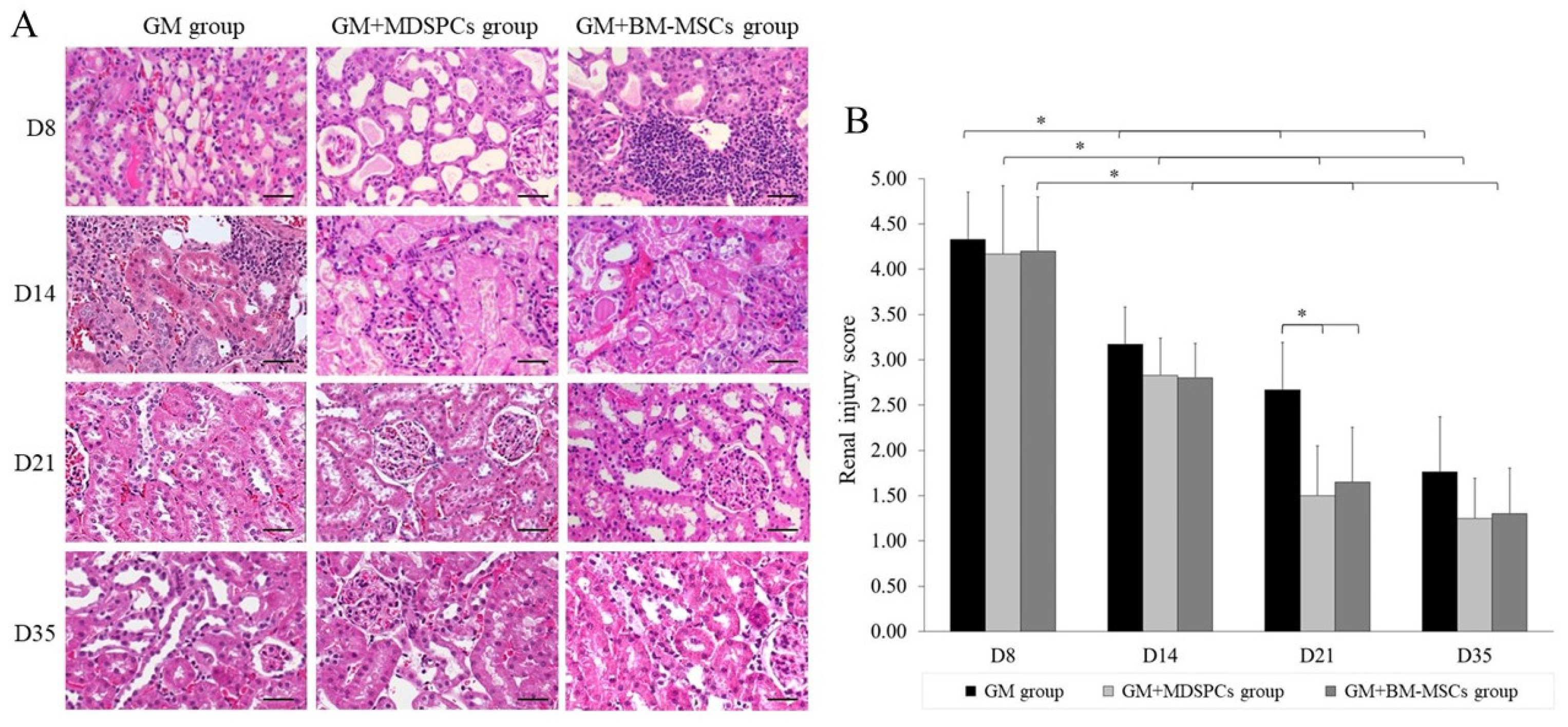 Medicina 60 00063 g004