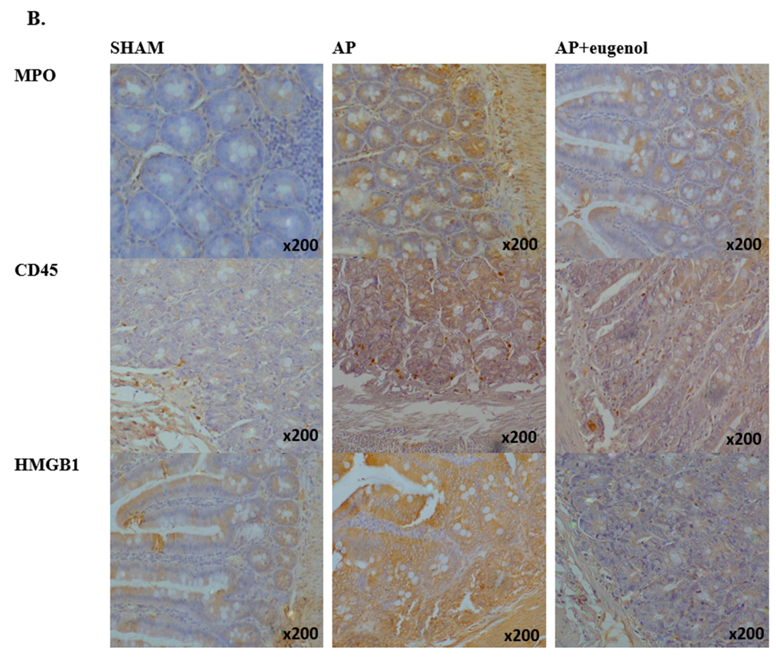 Medicina 60 00074 g003b