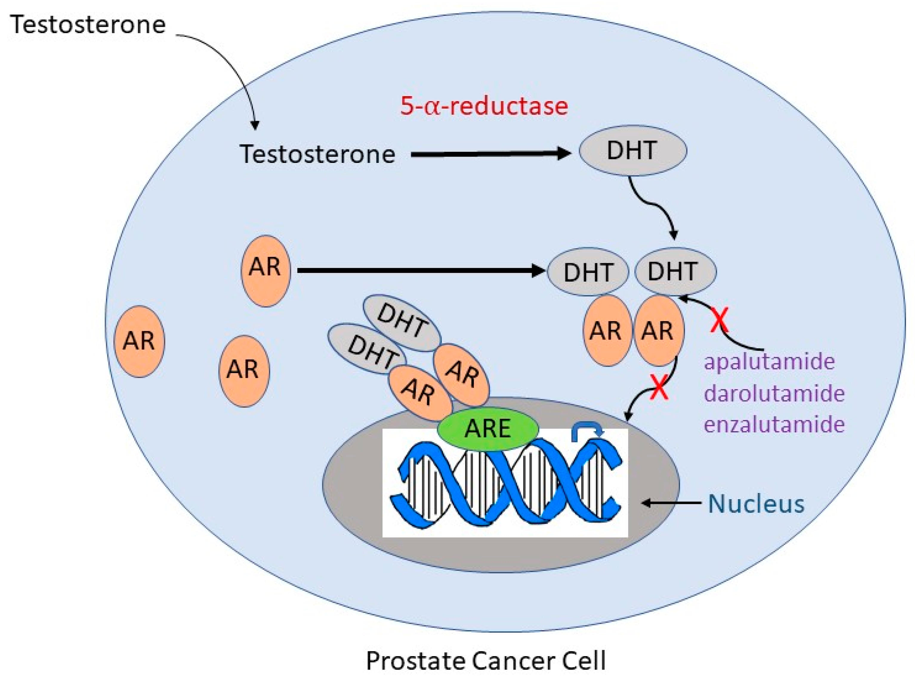 Medicina 60 00077 g001 Medicina 60 00077 g001