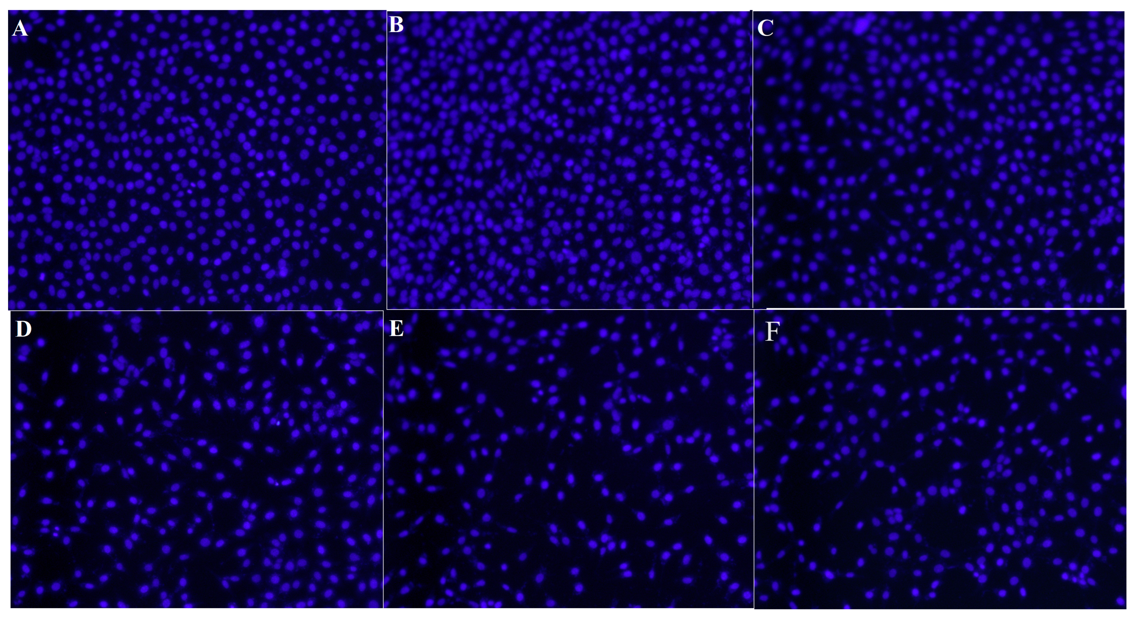 Medicina 60 00082 g003