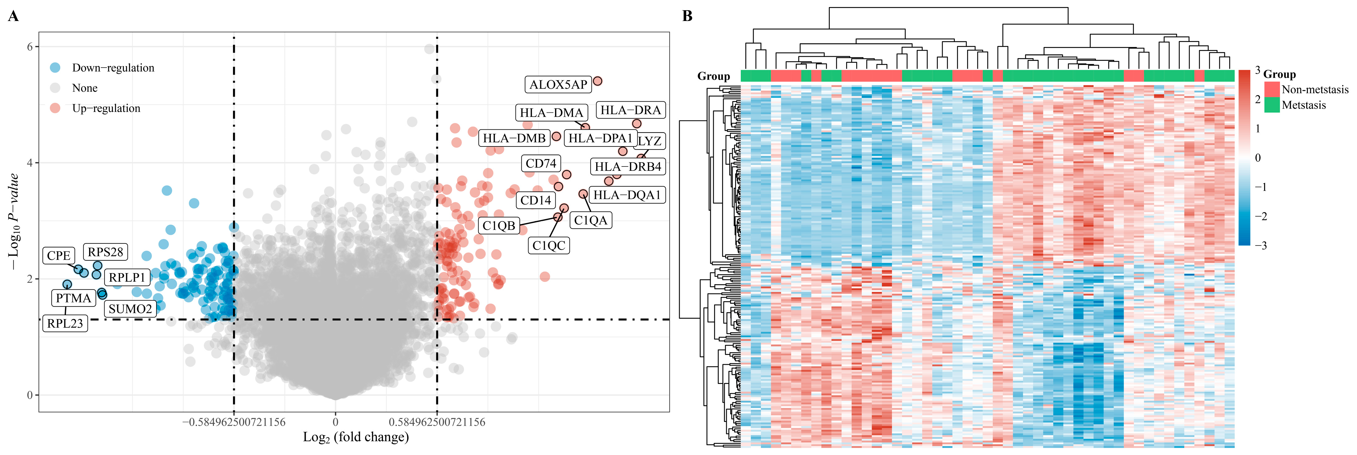 Medicina 60 00095 g001