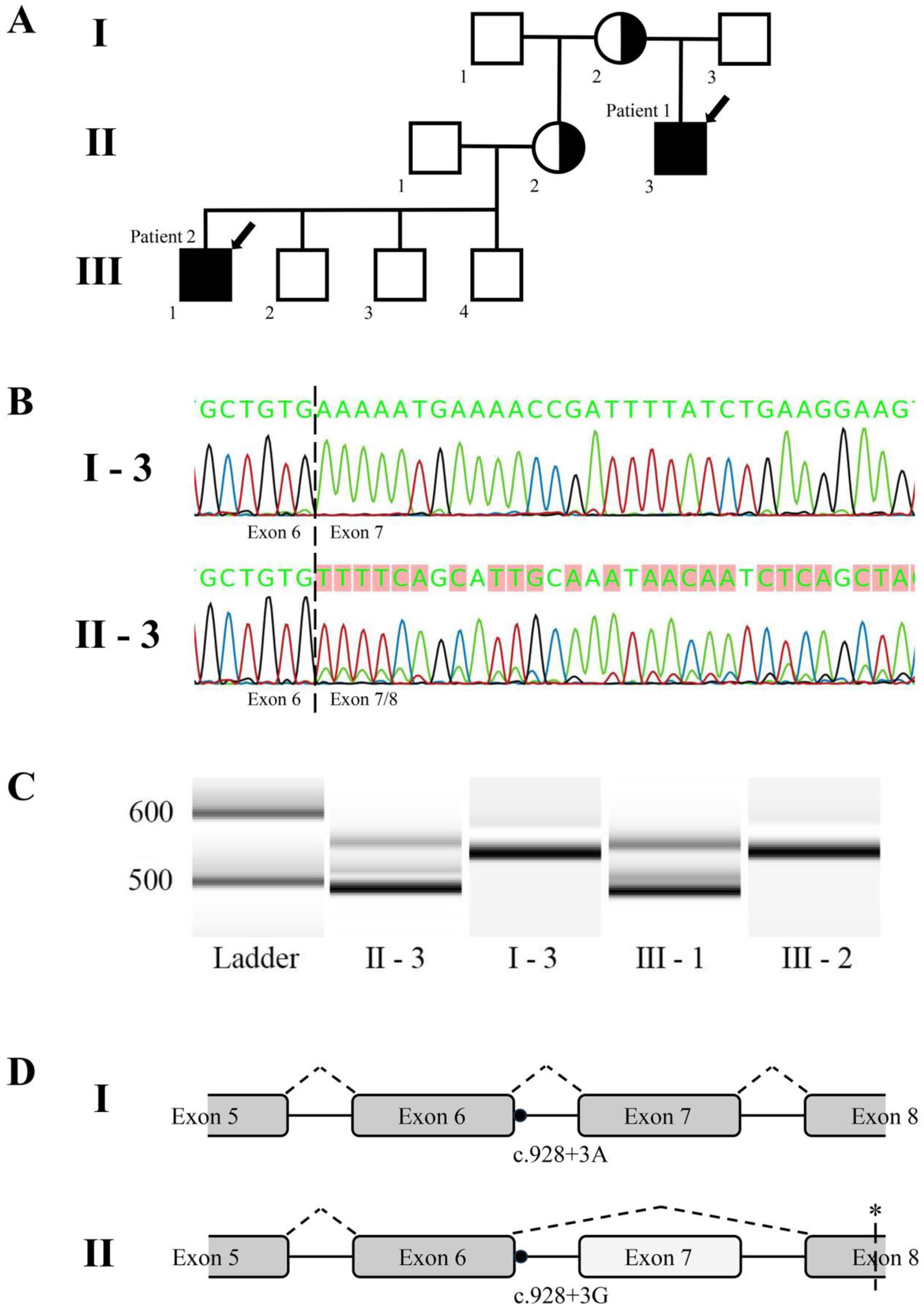 Medicina 60 00099 g001