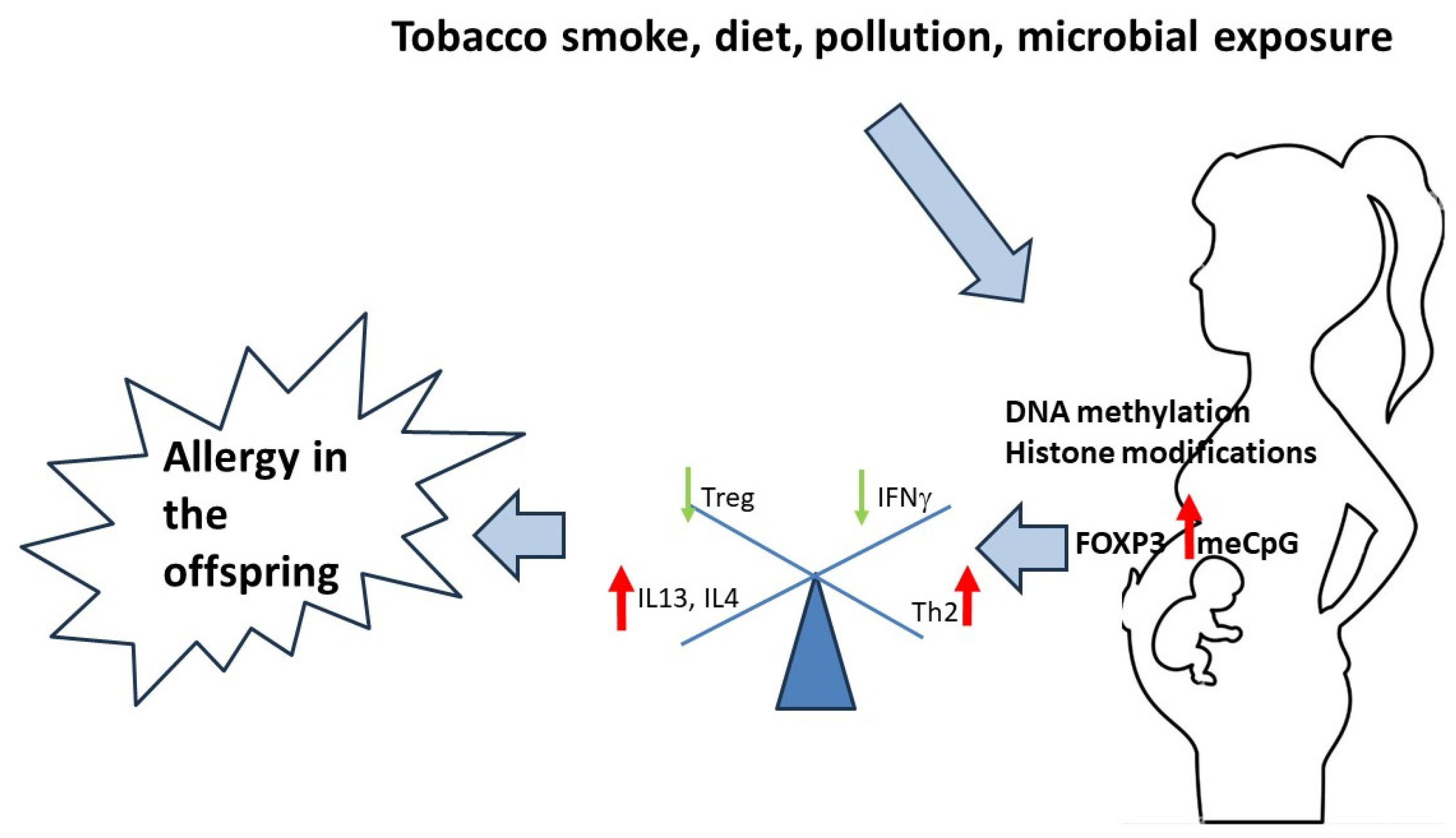Medicina 60 00110 g001