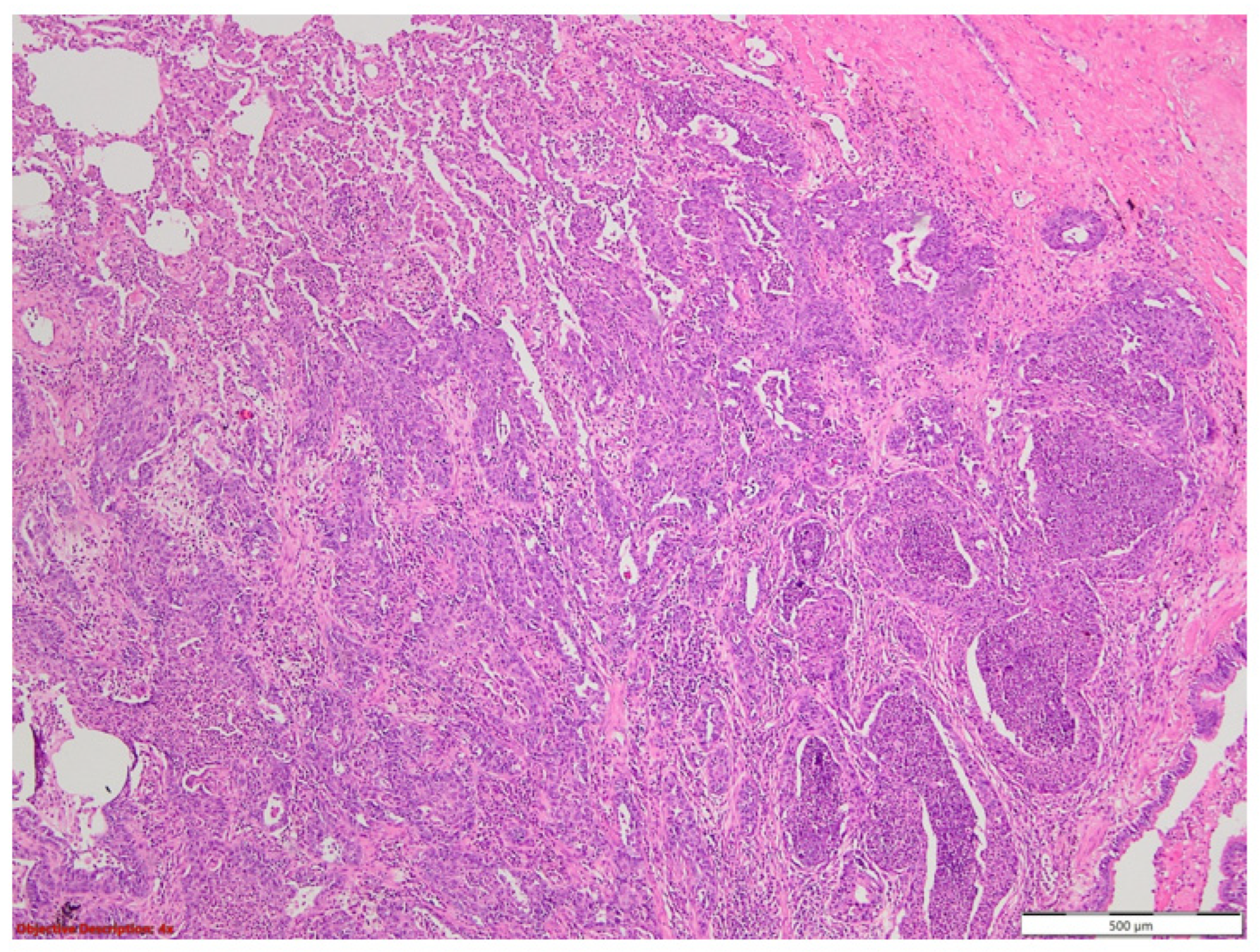 Medicina 60 00112 g001