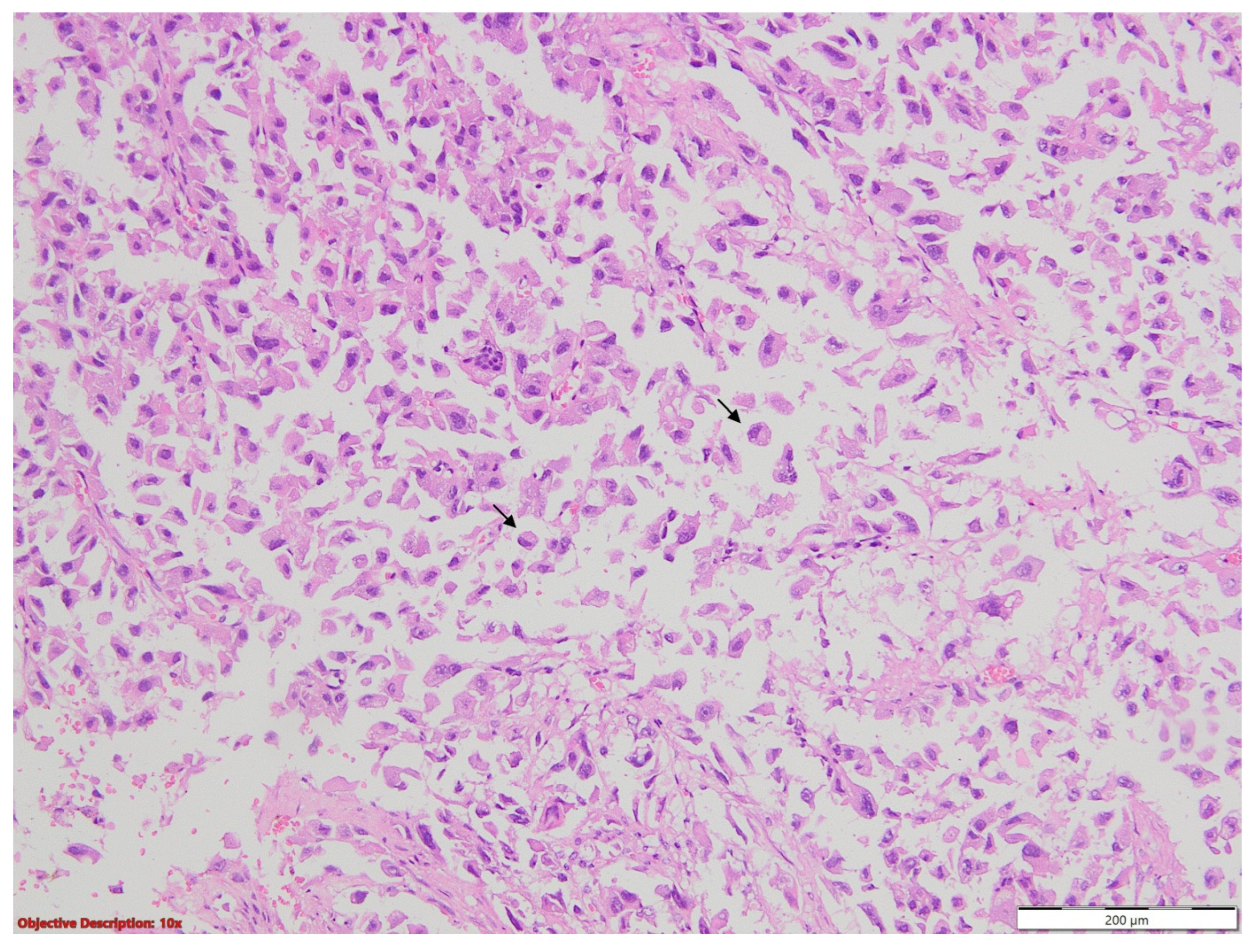 Medicina 60 00112 g015