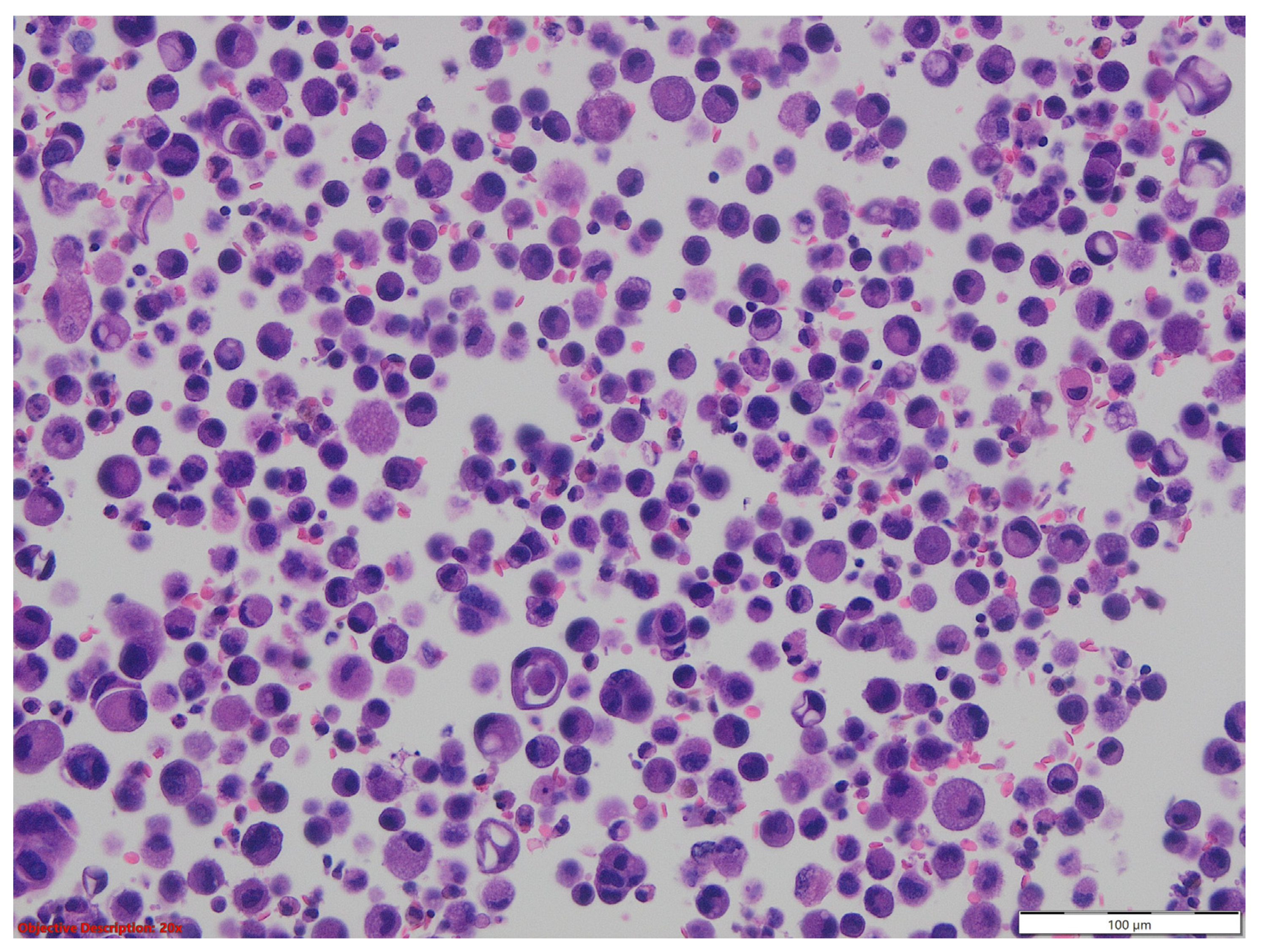 Medicina 60 00112 g017