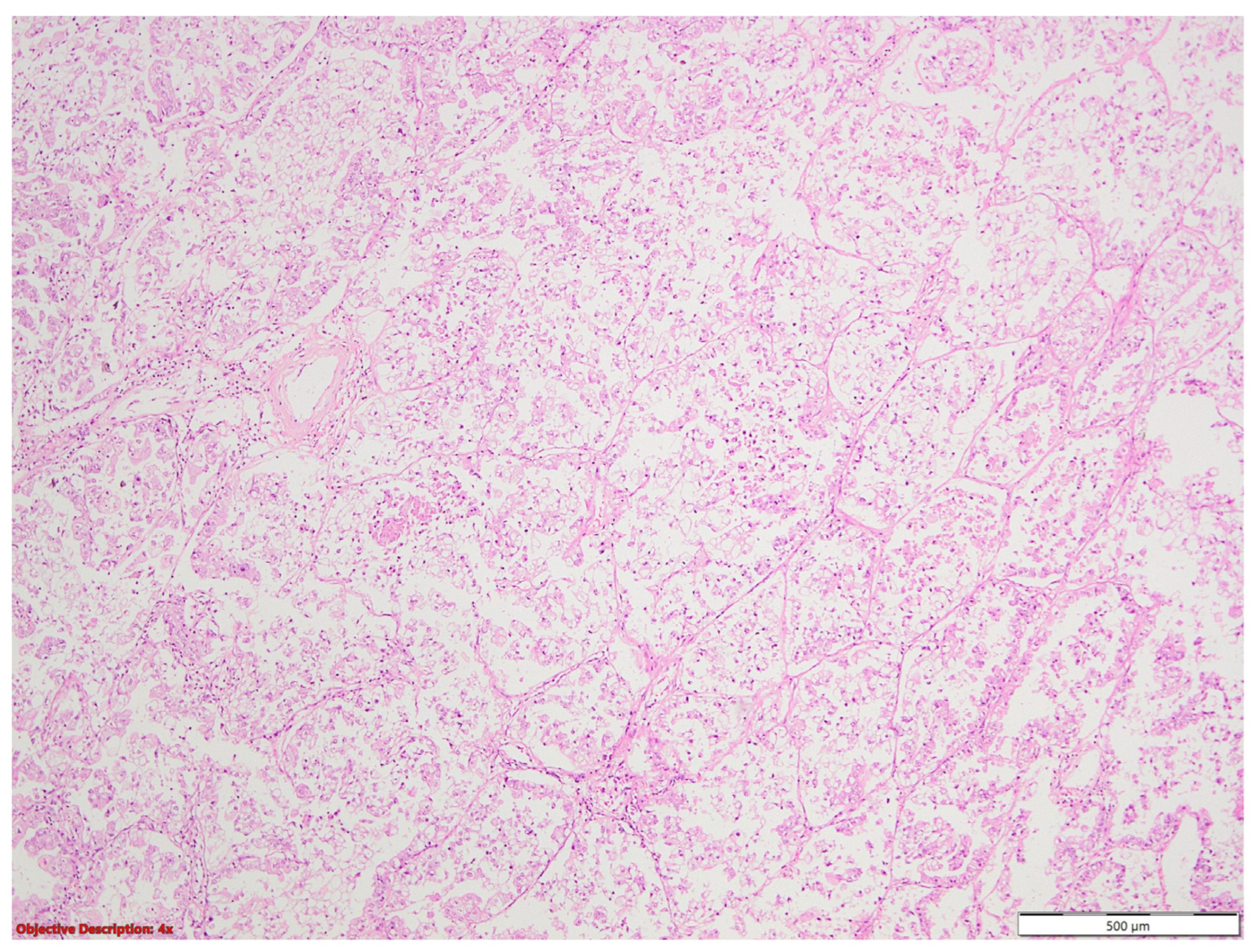 Medicina 60 00112 g020