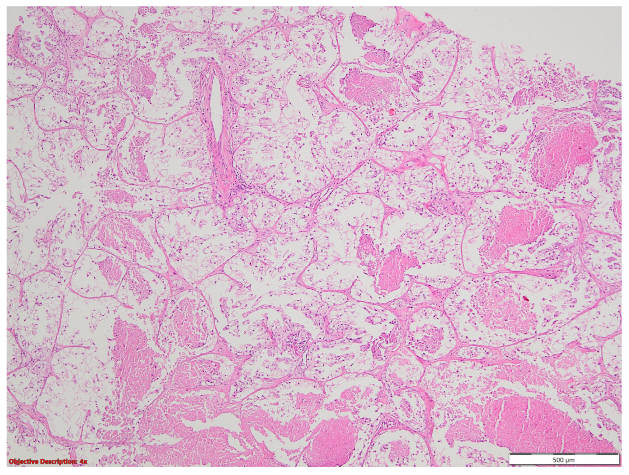 Medicina 60 00112 g021