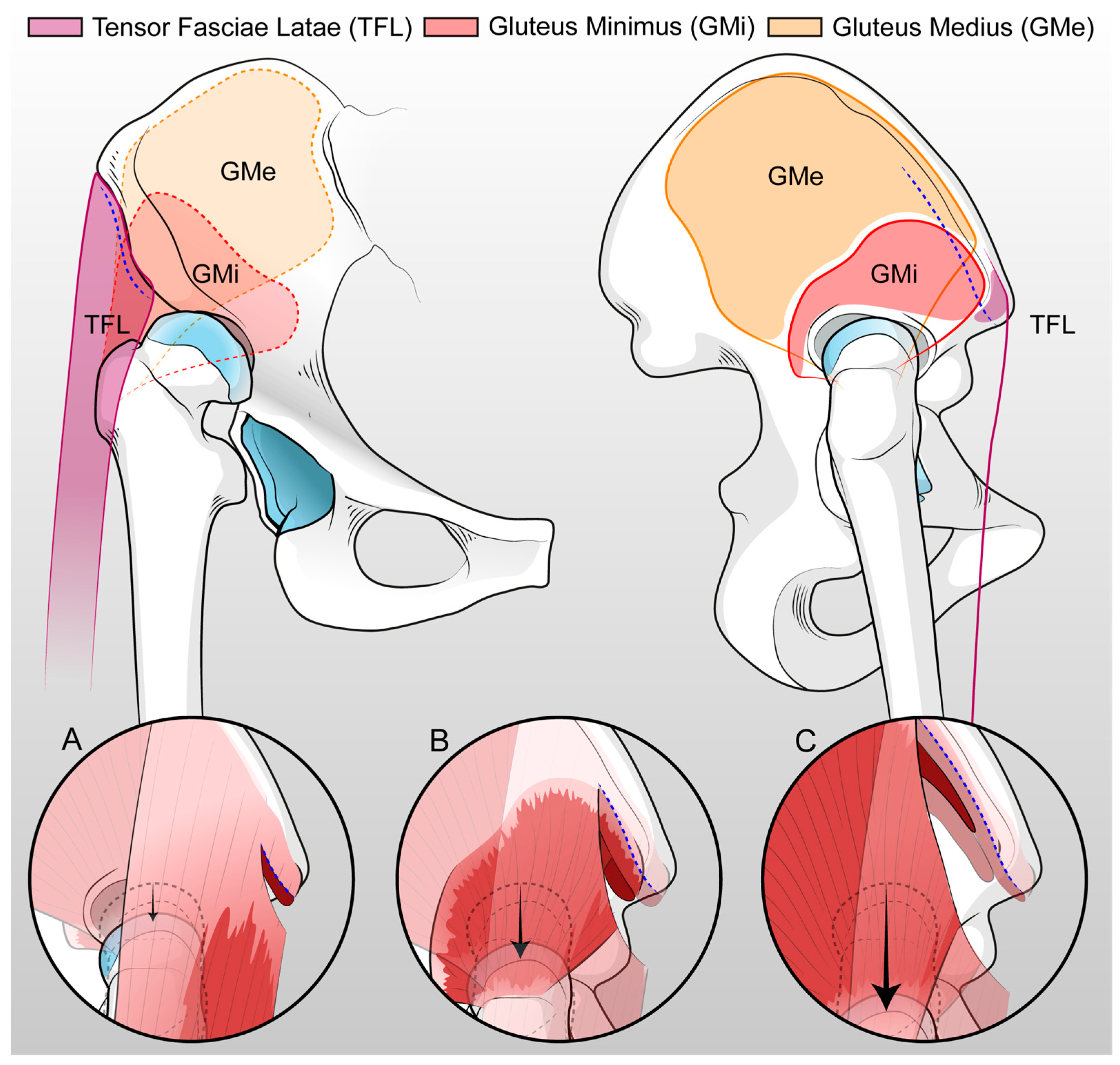 Medicina 60 00114 g003