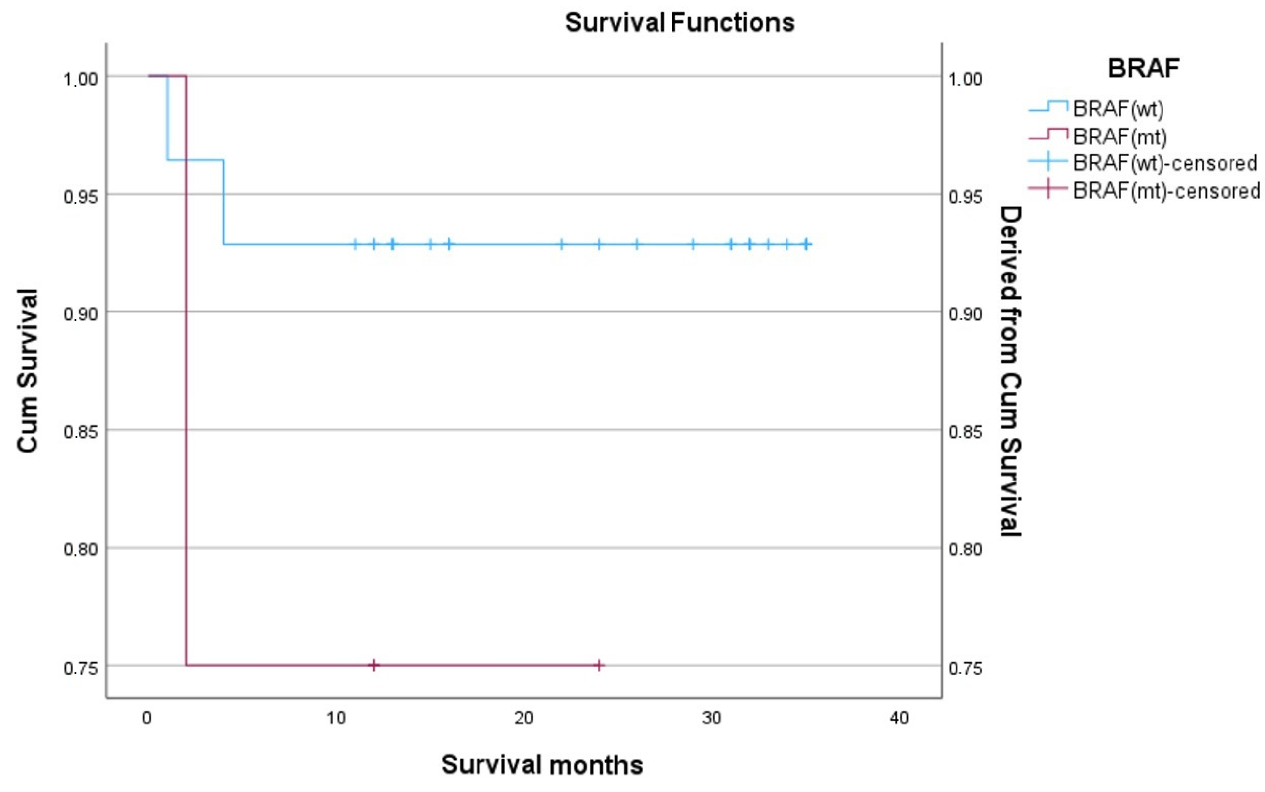 Medicina 60 00142 g002
