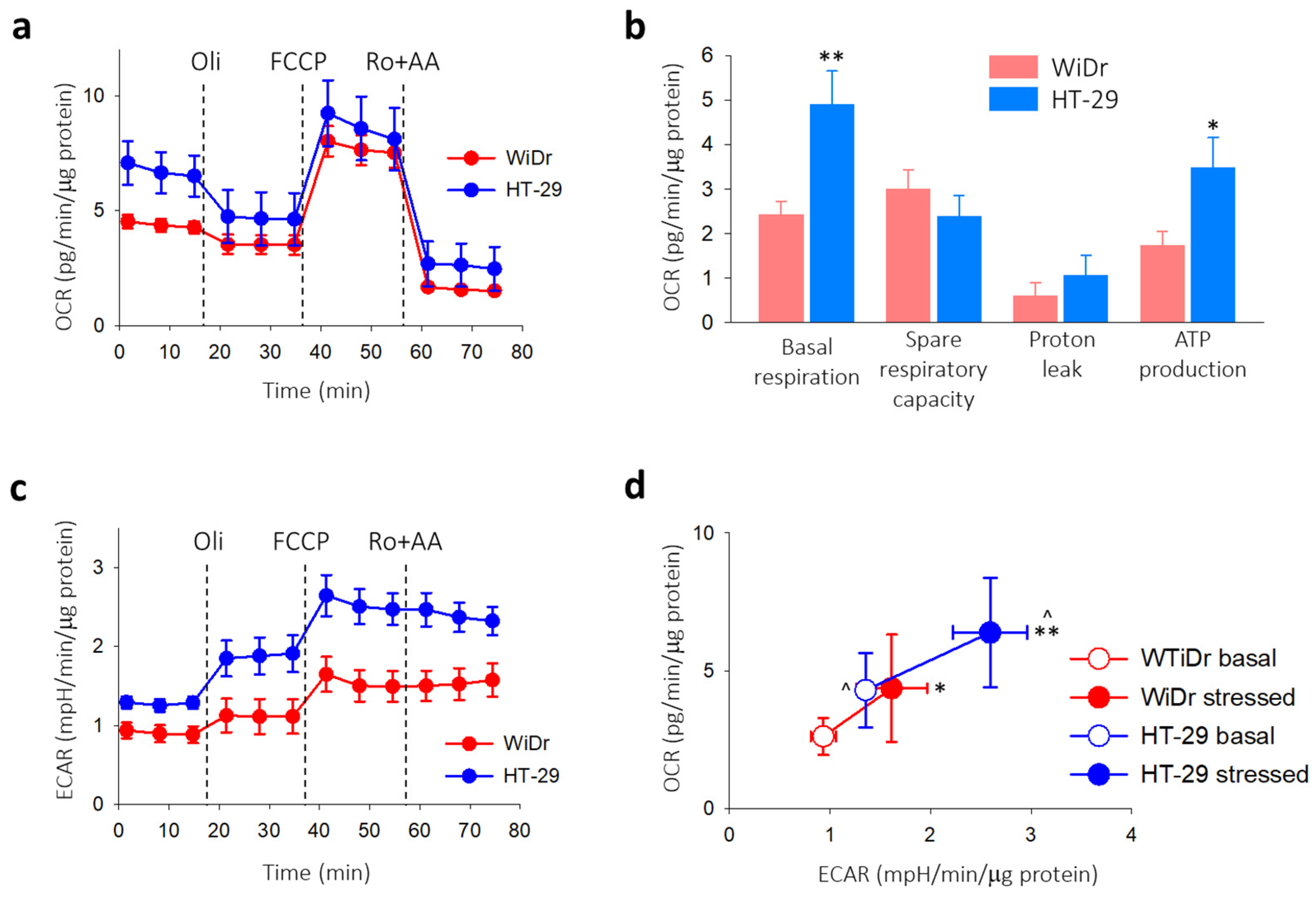 Medicina 60 00142 g008