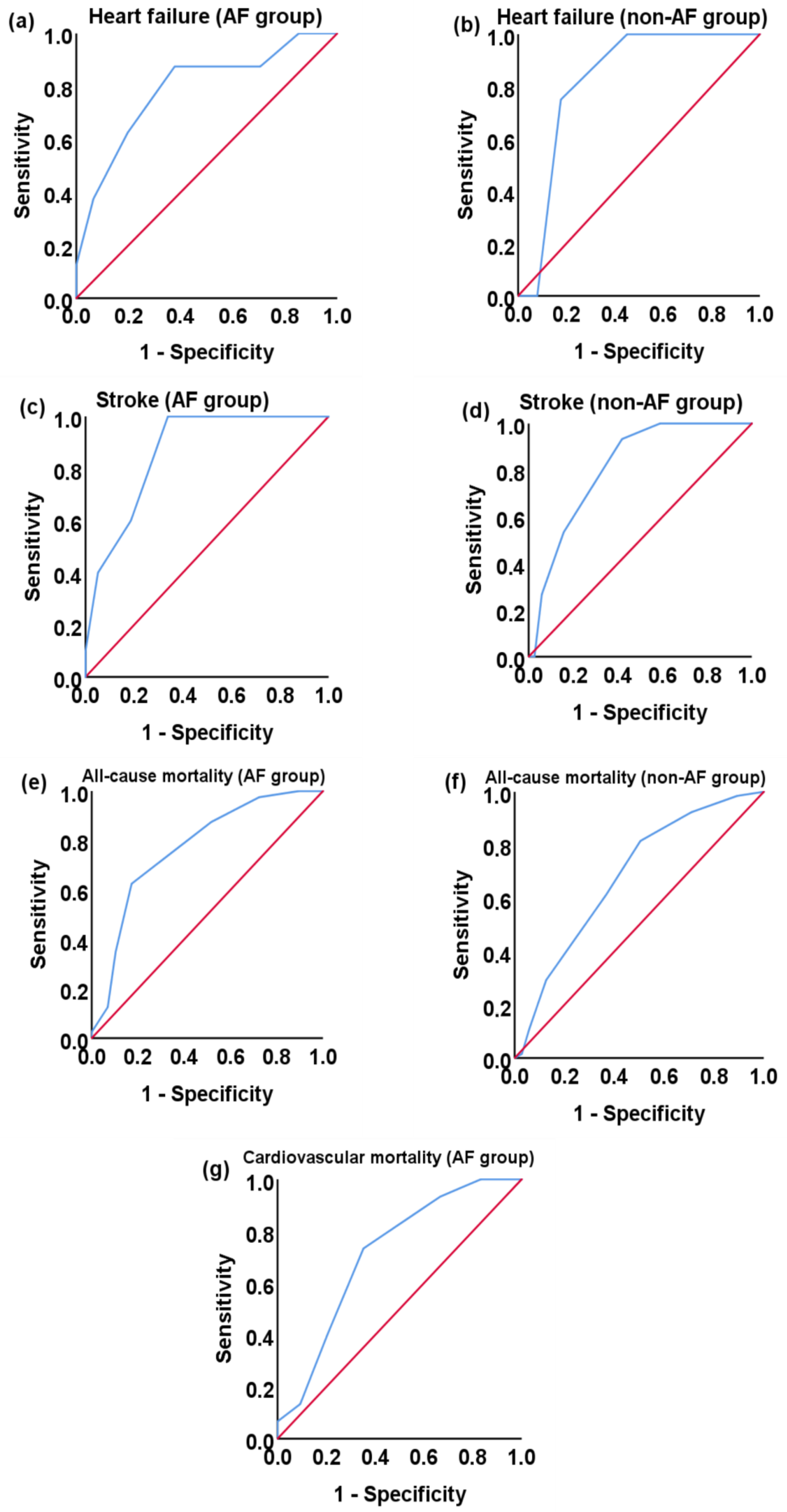 Medicina 60 00144 g001