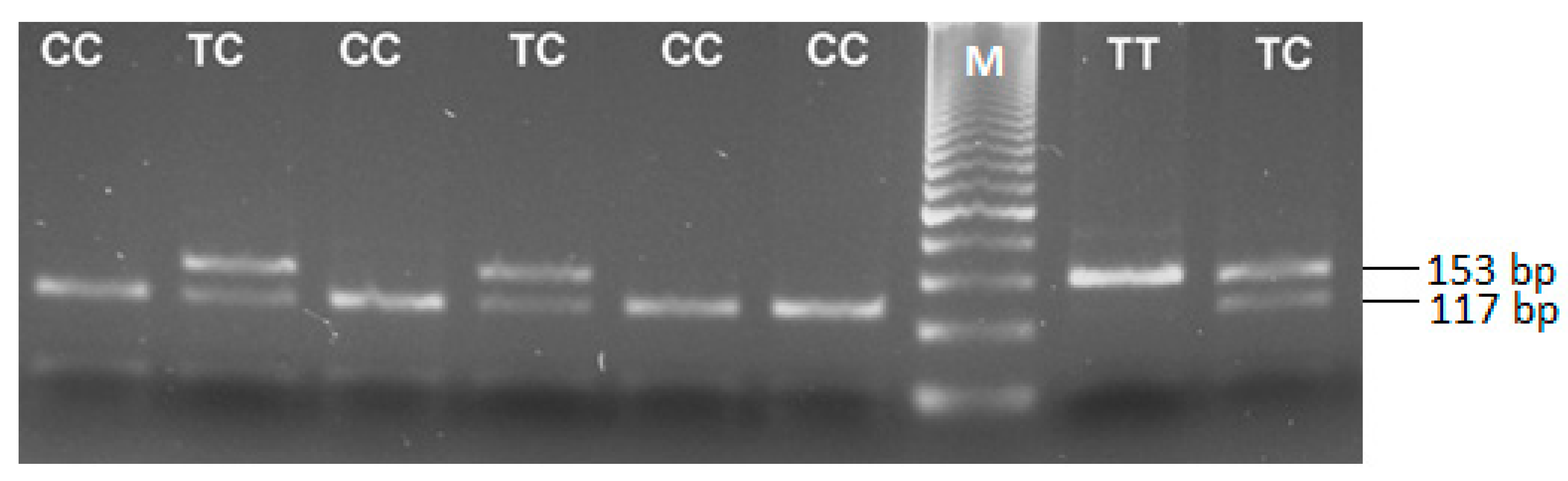 Medicina 60 00146 g001