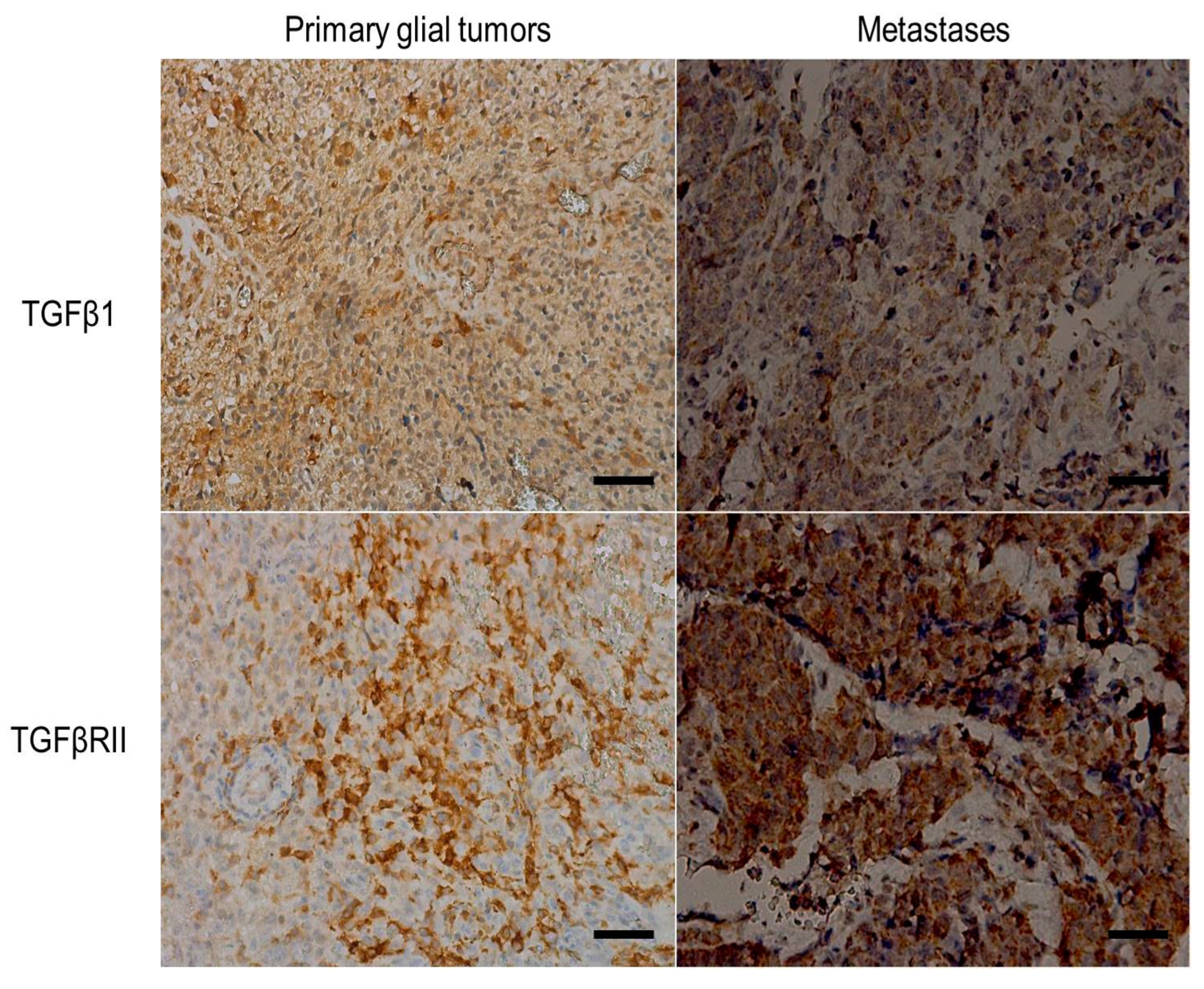 Medicina 60 00146 g009