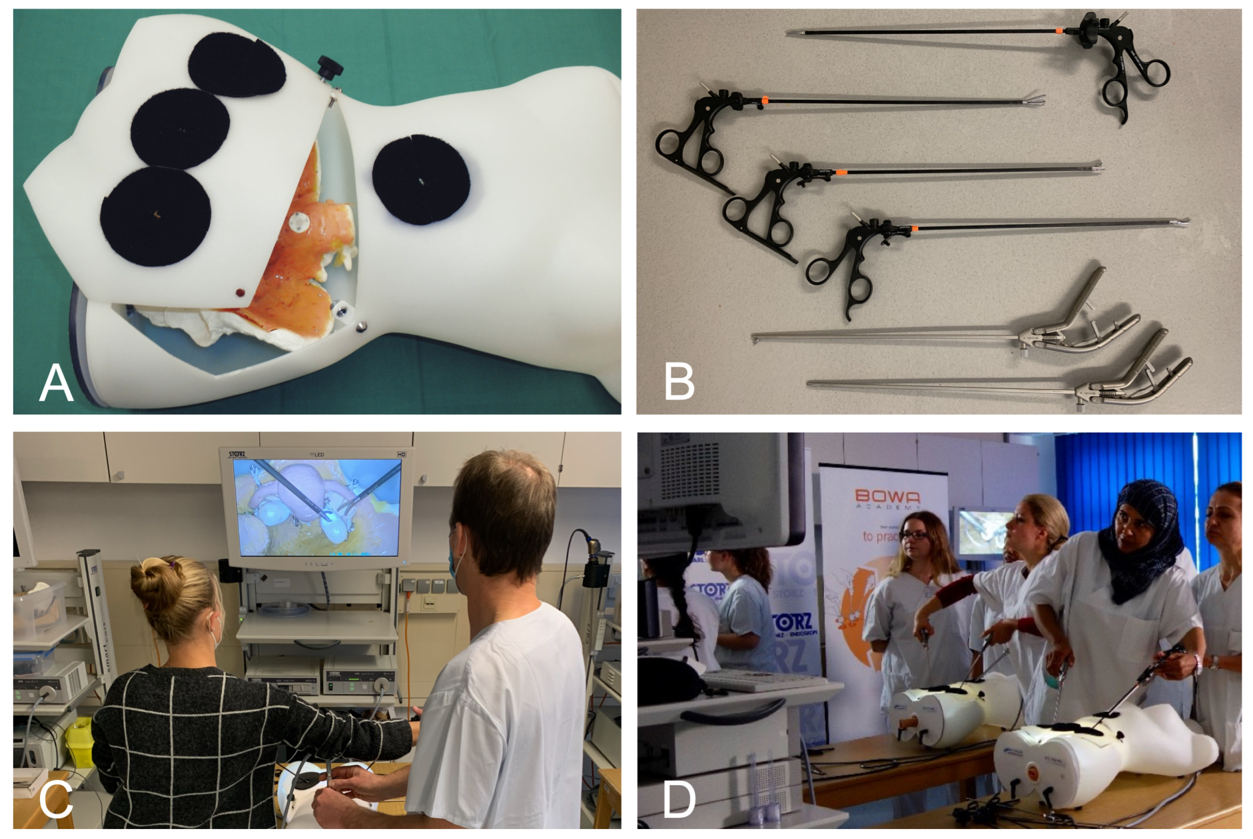 Medicina 60 00159 g001