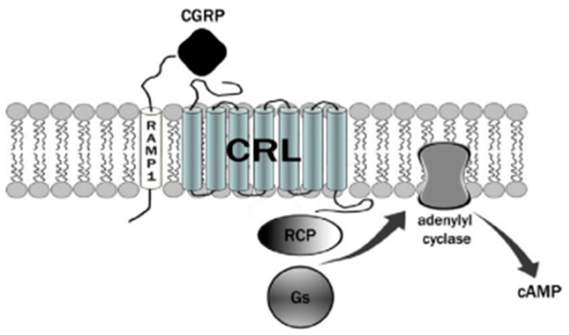 Medicina 60 00163 g001