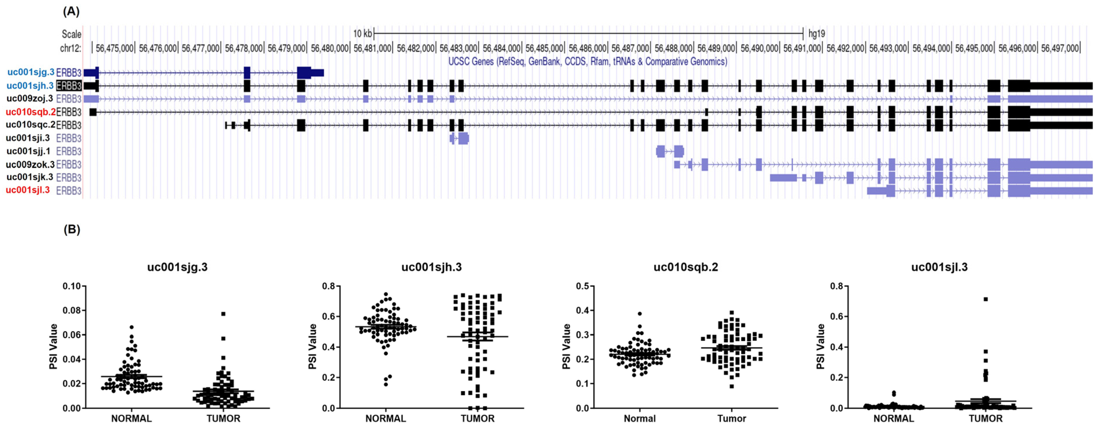 Medicina 60 00181 g001 Medicina 60 00181 g001