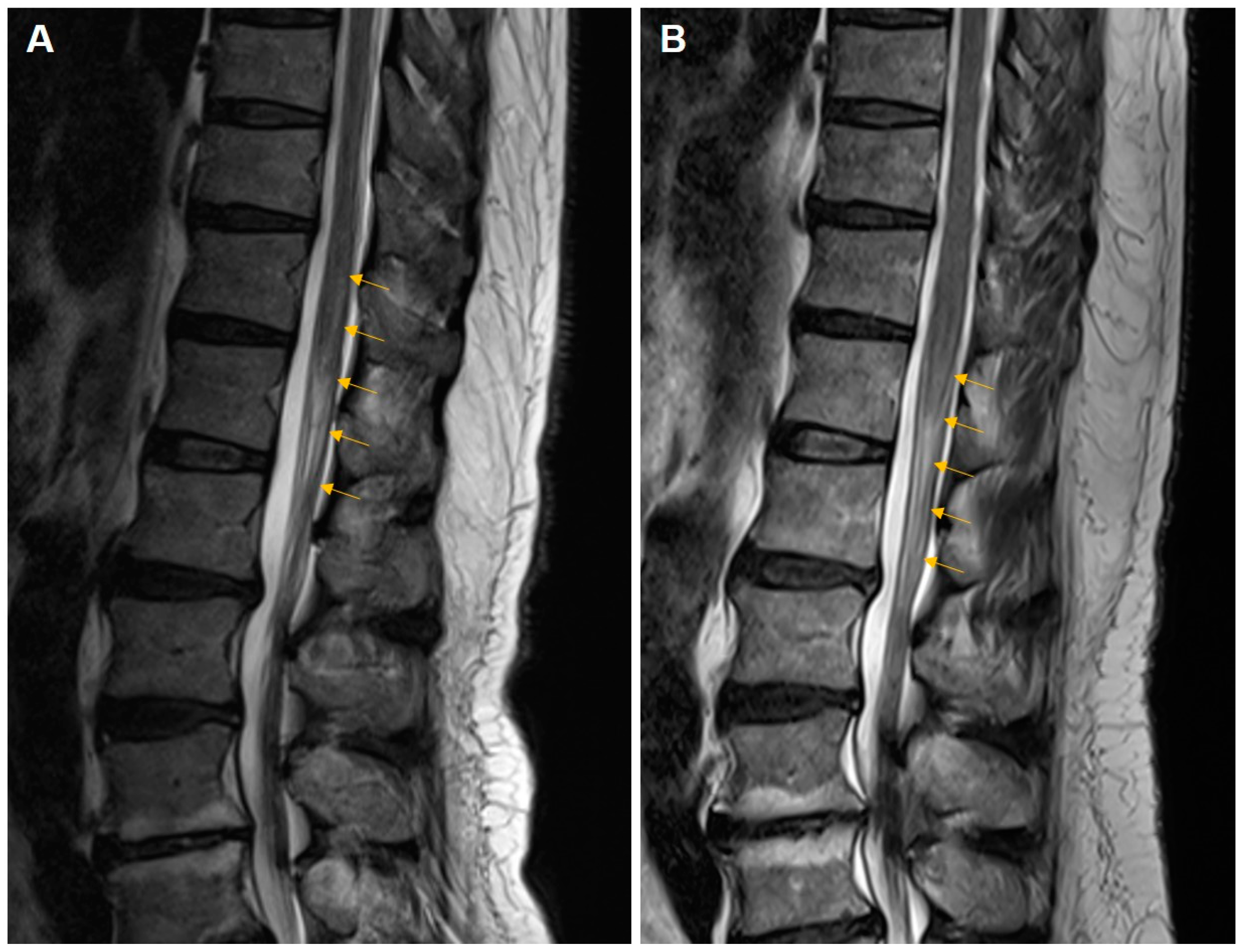 Medicina 60 00188 g001